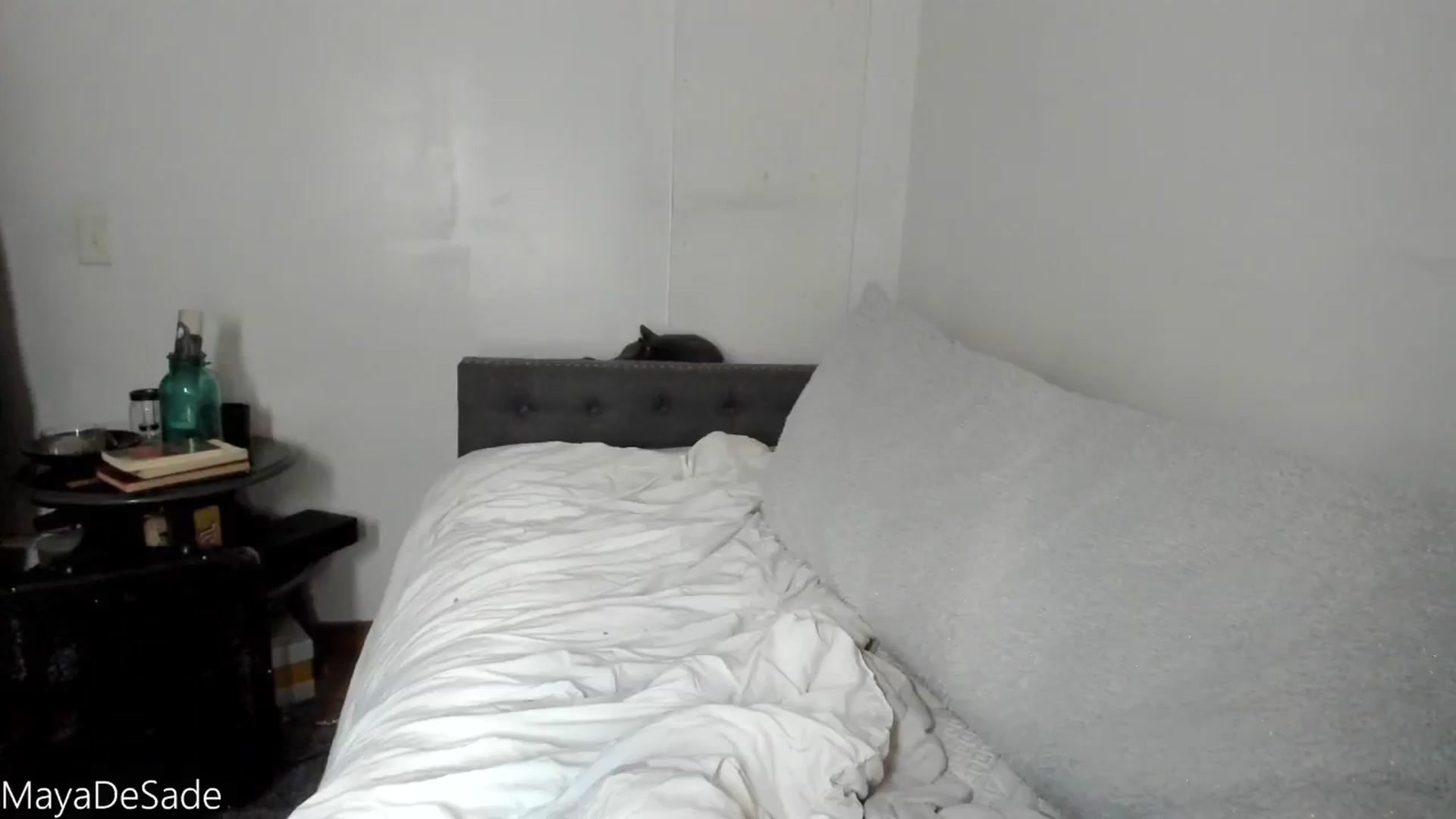 Gallery image thumbnail from MayaDeSade's myfreecams stream on, 09/20/2025, 16:40 image 17 of 20