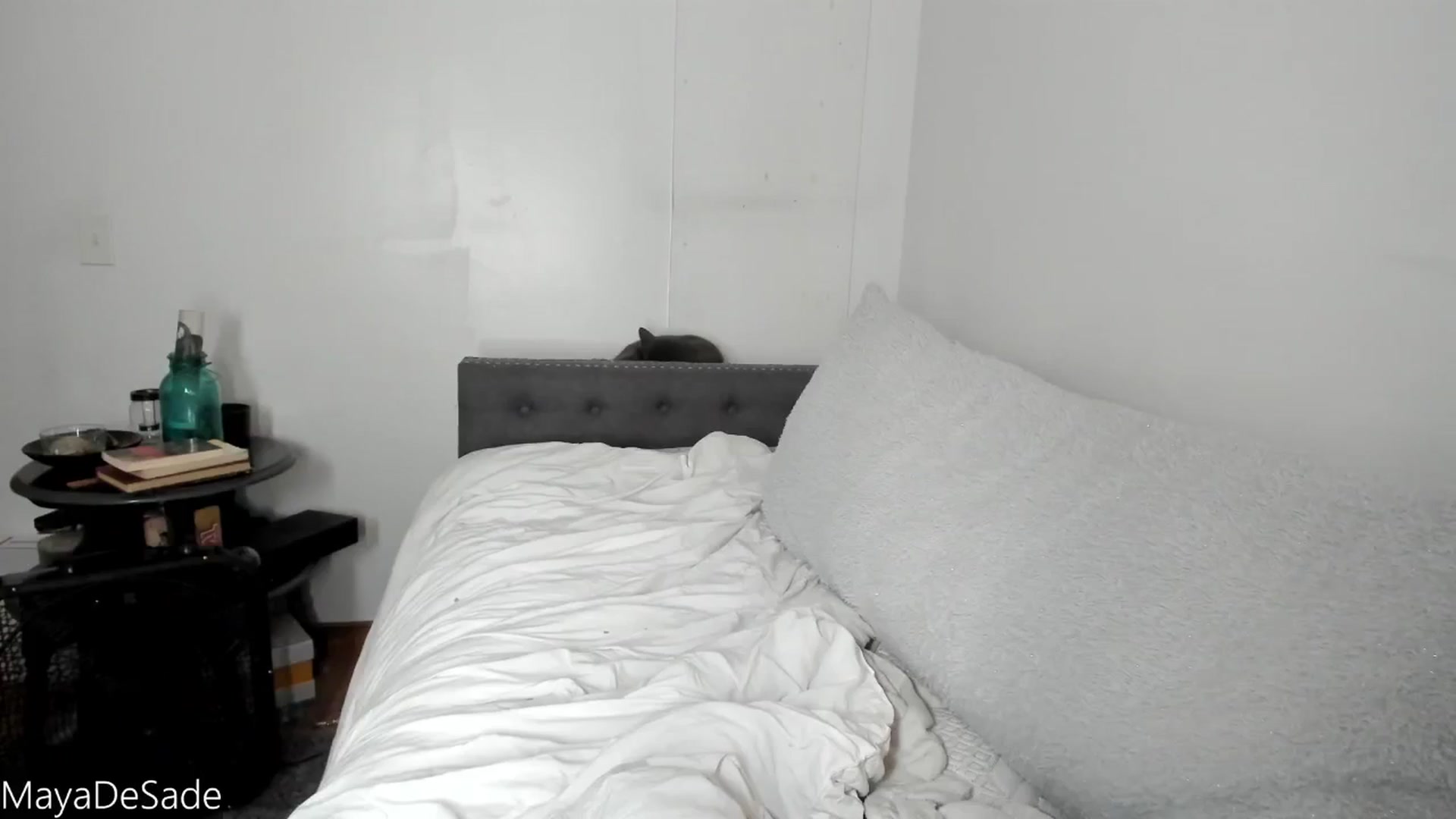 Gallery image thumbnail from MayaDeSade's myfreecams stream on, 09/20/2025, 16:40 image 19 of 20