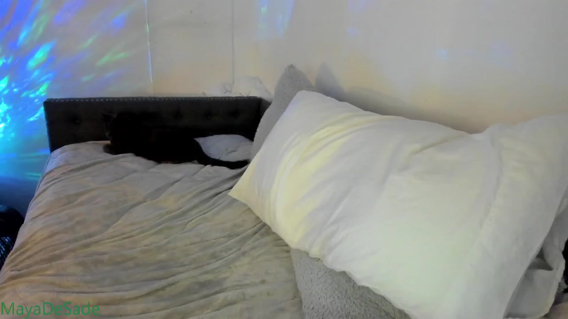 Gallery image thumbnail from MayaDeSade's myfreecams stream on, 12/24/2025, 09:54 image 19 of 20