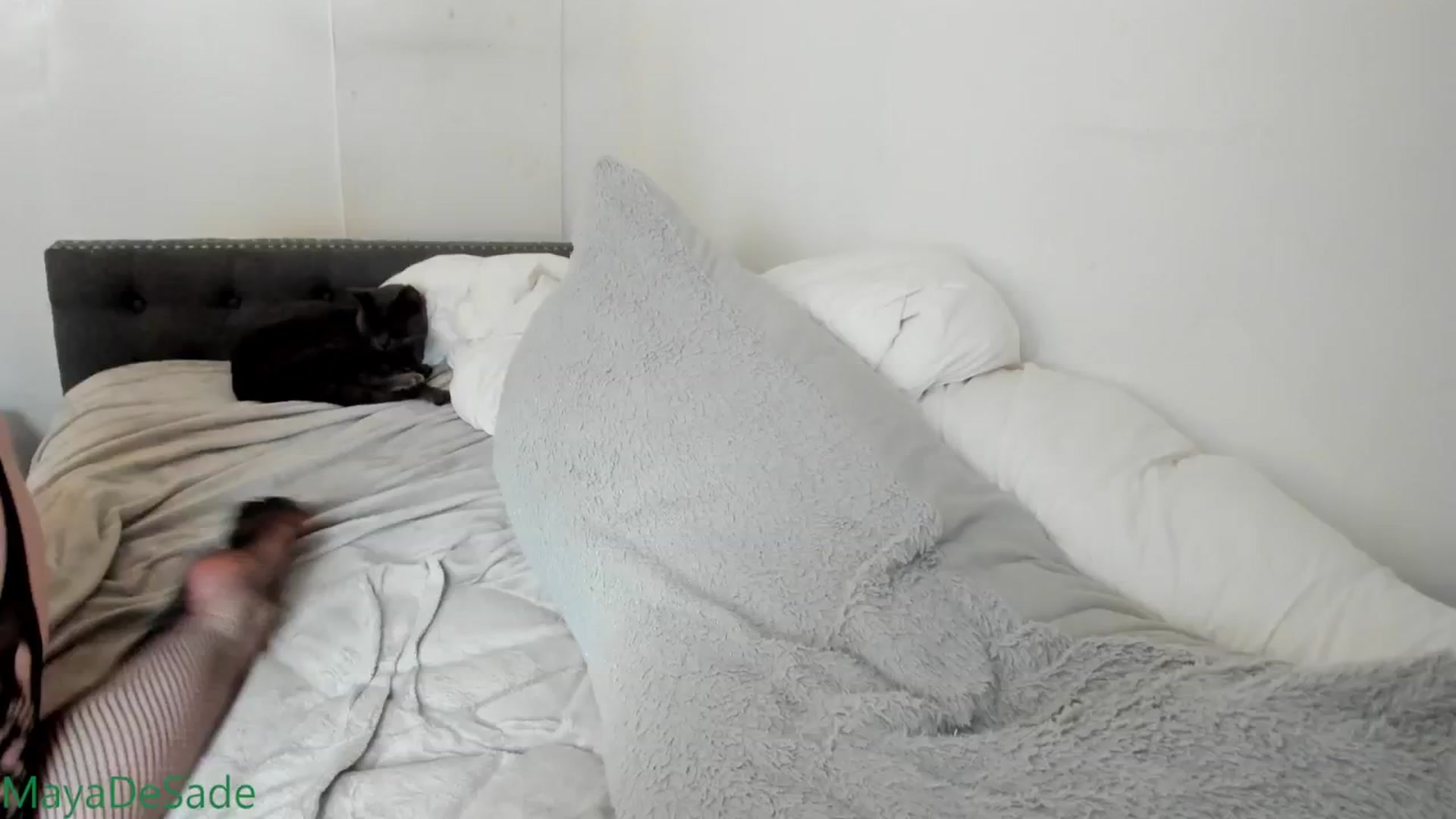 Gallery image thumbnail from MayaDeSade's myfreecams stream on, 12/27/2025, 17:24 image 18 of 20