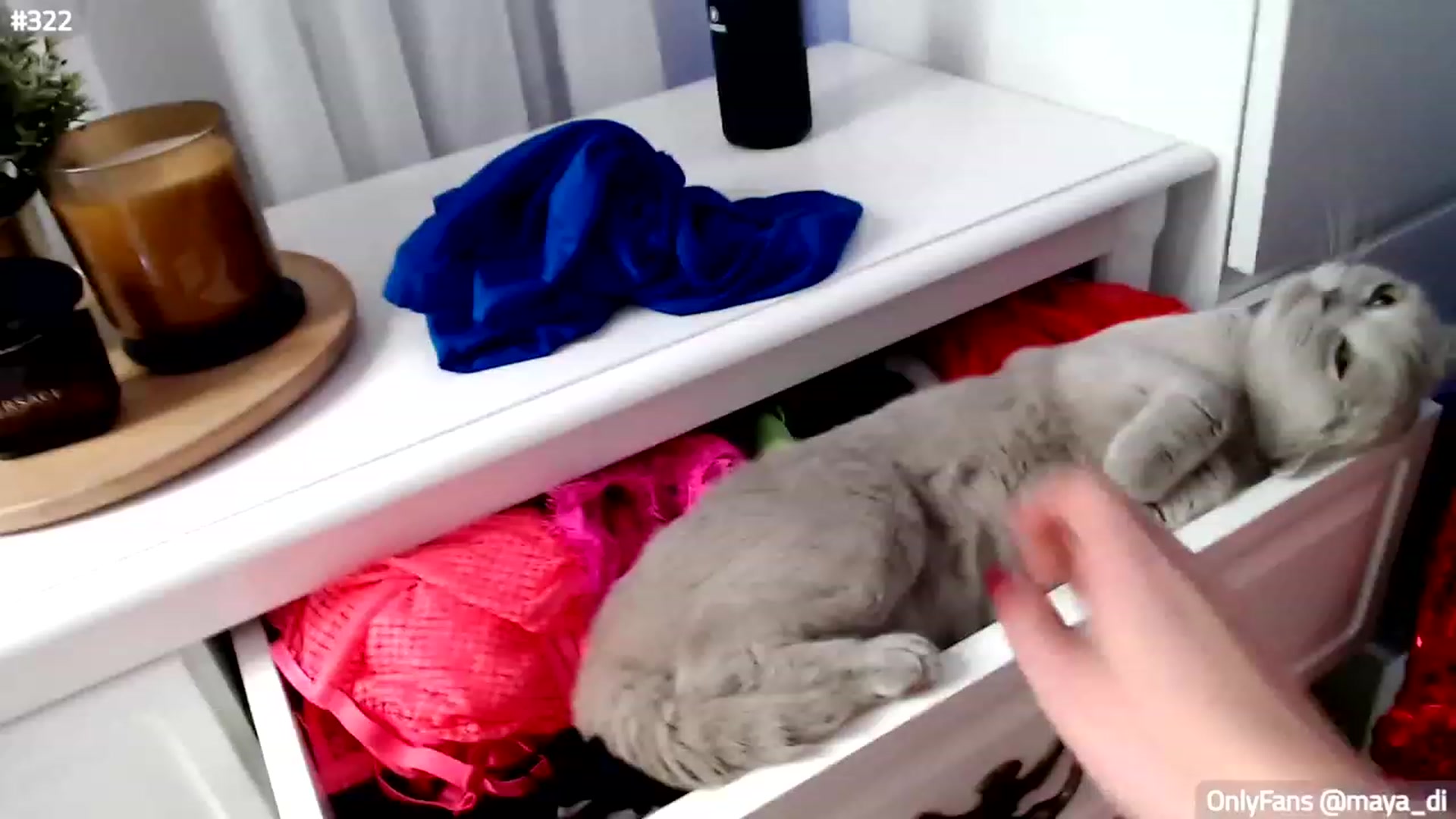 Gallery image thumbnail from Maya_Di's myfreecams stream on, 12/01/2022, 01:54 image 3 of 20