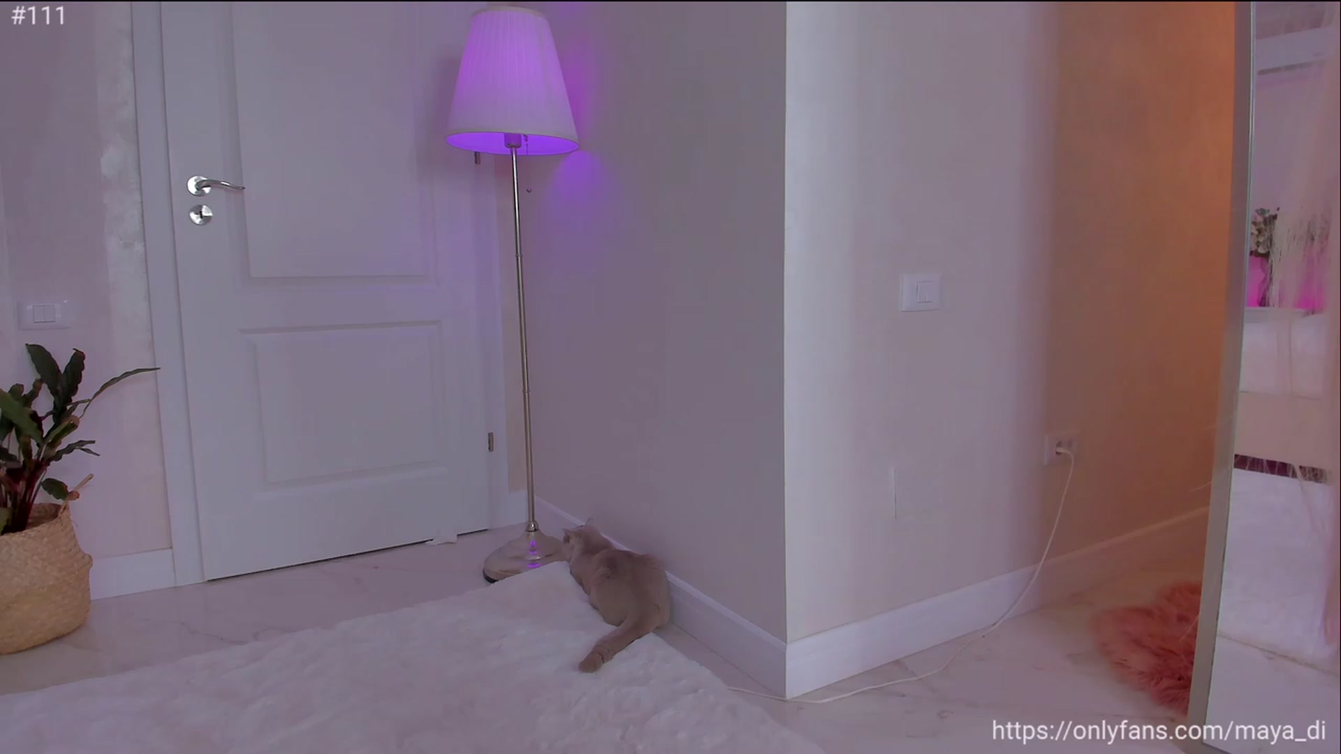 Gallery image thumbnail from Maya_Di's myfreecams stream on, 05/13/2023, 18:53 image 2 of 20