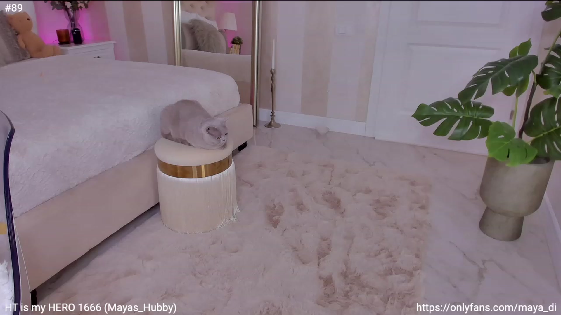 Gallery image thumbnail from Maya_Di's myfreecams stream on, 10/20/2023, 22:54 image 9 of 20