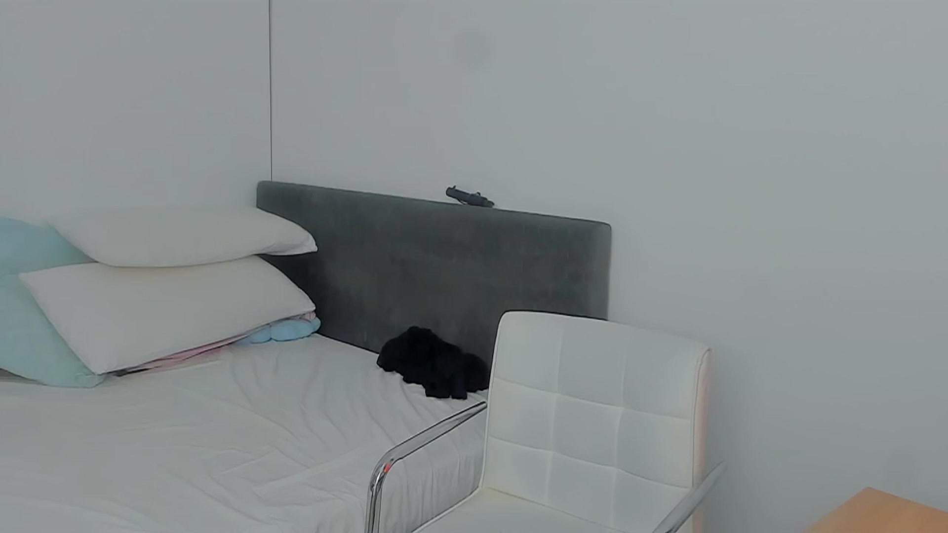 Gallery image thumbnail from Mayaaa's myfreecams stream on, 09/20/2025, 15:26 image 16 of 20