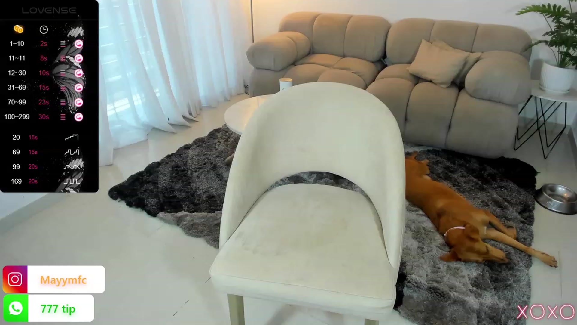 Gallery image thumbnail from Maysoon_'s myfreecams stream on, 09/01/2023, 18:00 image 9 of 20