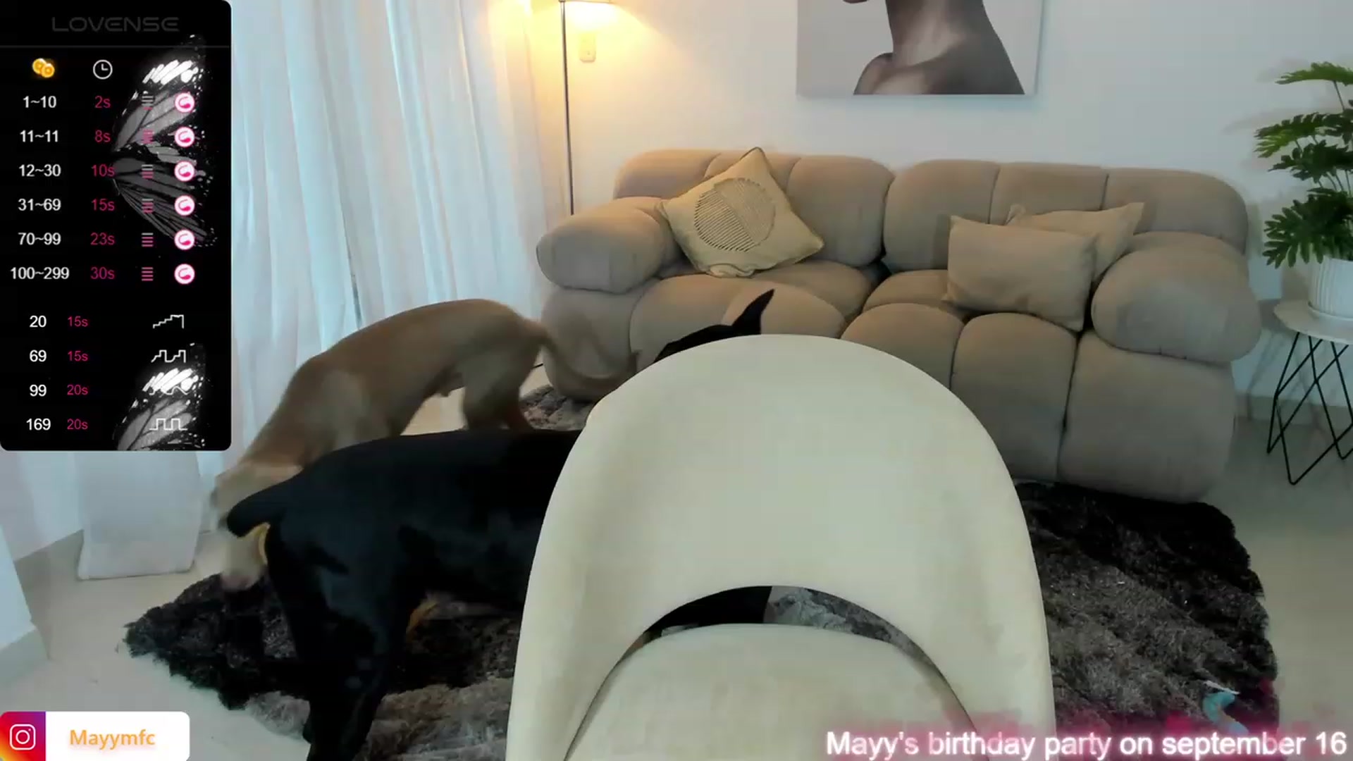 Gallery image thumbnail from Maysoon_'s myfreecams stream on, 09/15/2023, 16:38 image 4 of 20