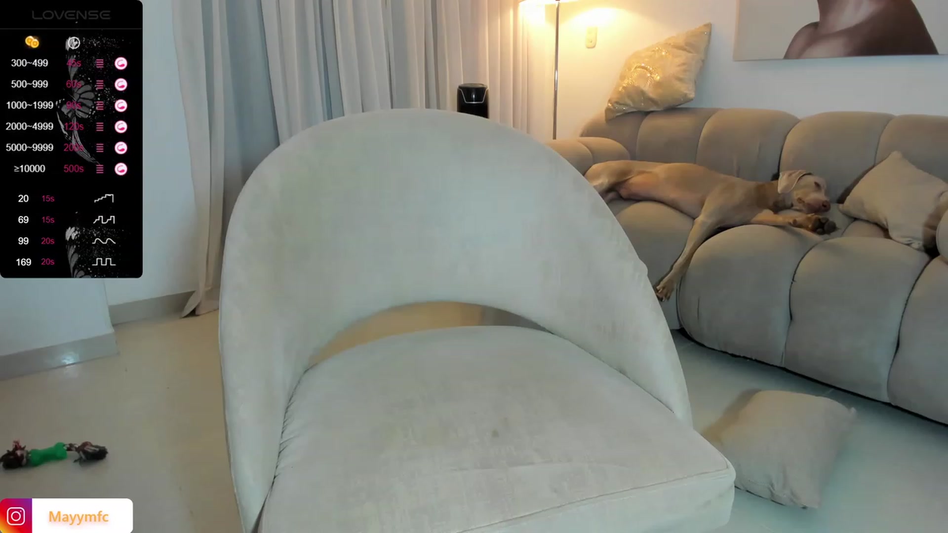 Gallery image thumbnail from Maysoon_'s myfreecams stream on, 01/12/2024, 03:59 image 3 of 20