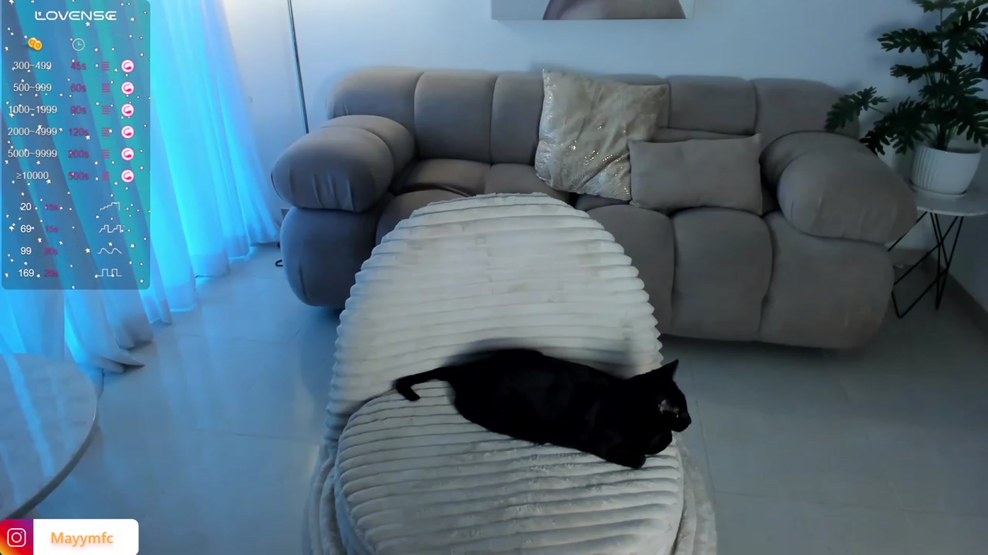 Gallery image thumbnail from Maysoon_'s myfreecams stream on, 03/19/2024, 16:27 image 6 of 20