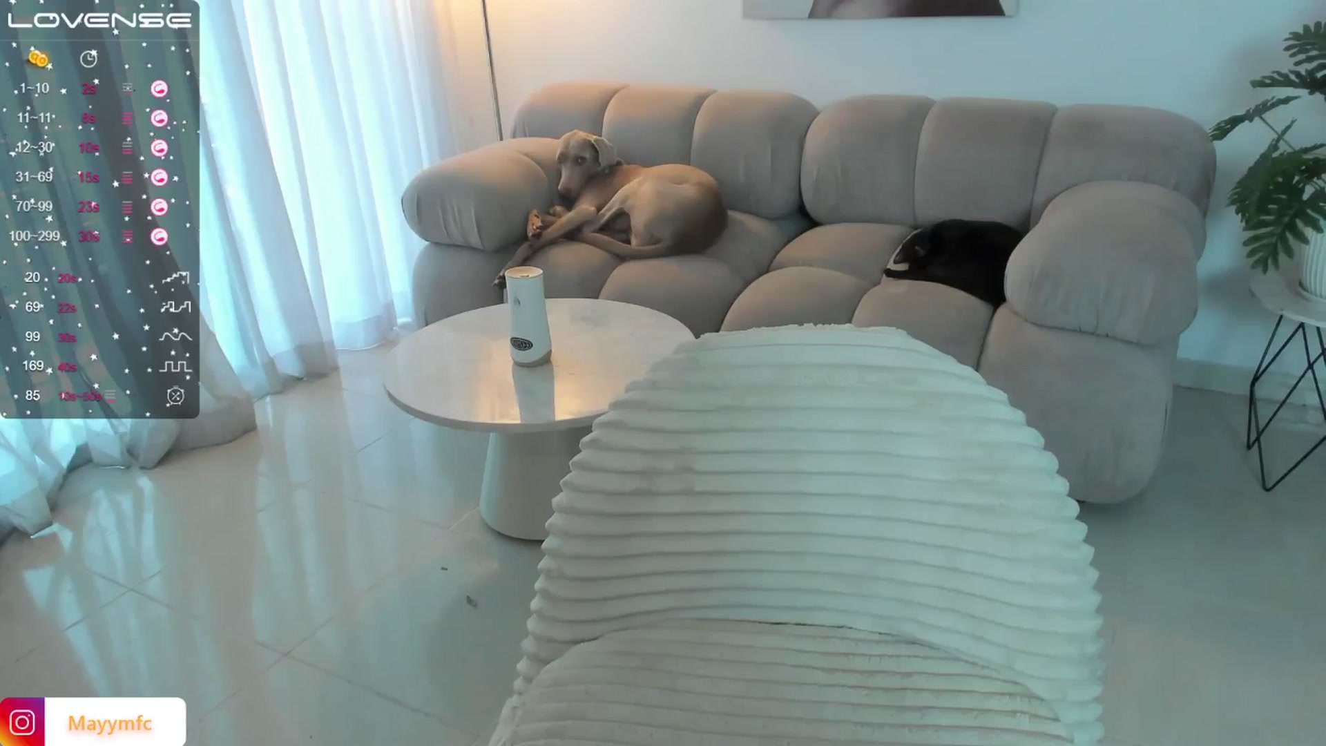 Gallery image thumbnail from Maysoon_'s myfreecams stream on, 07/08/2024, 19:21 image 12 of 20