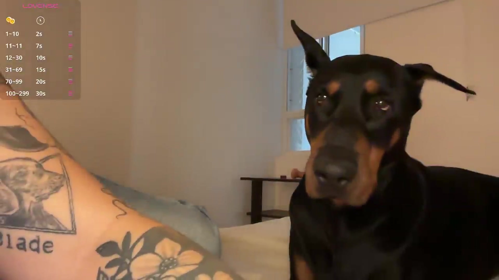 Gallery image thumbnail from Maysoon_'s myfreecams stream on, 05/28/2026, 22:20 image 9 of 20