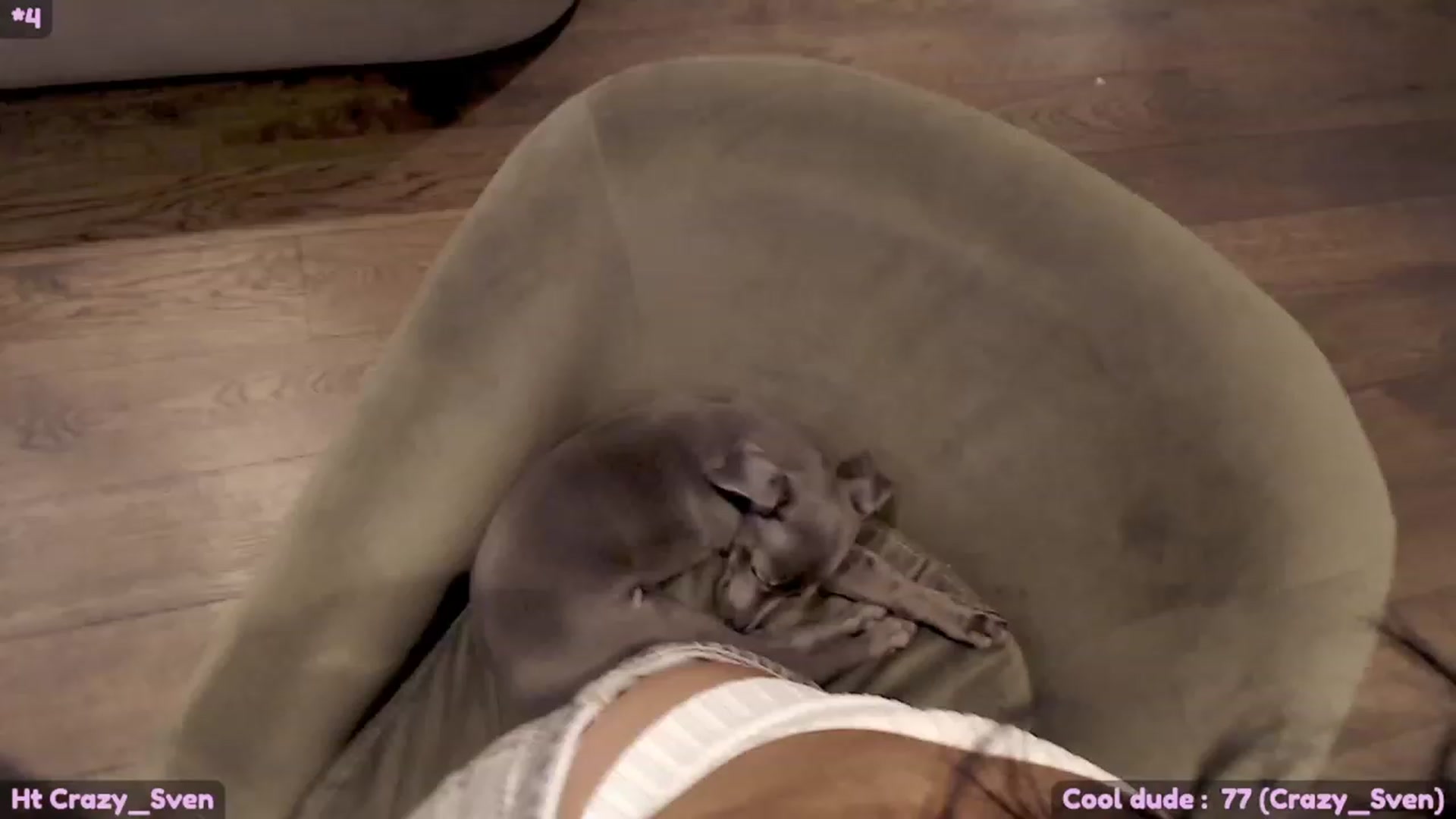 Gallery image thumbnail from Maze__'s myfreecams stream on, 10/08/2023, 18:33 image 18 of 20