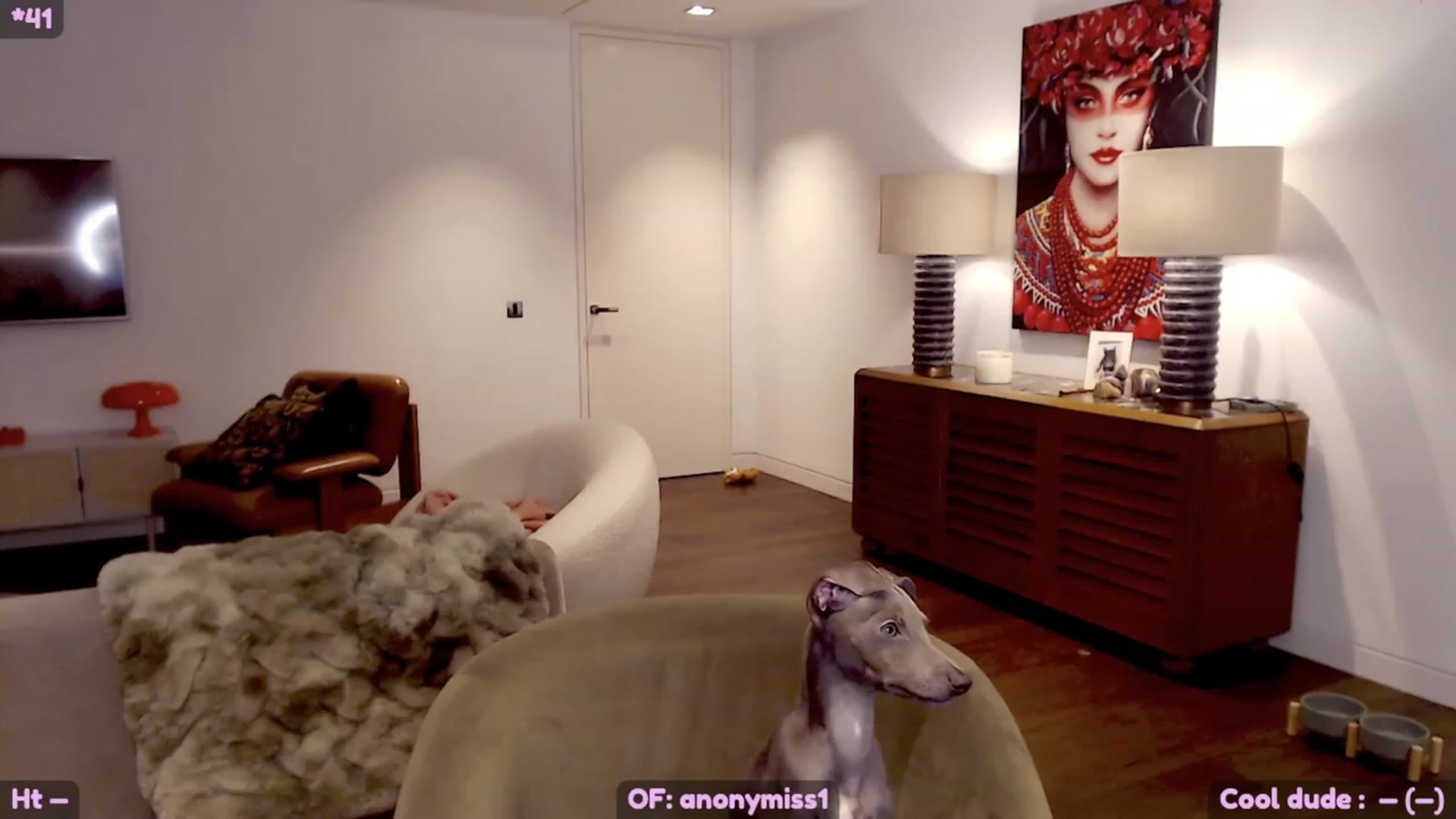 Gallery image thumbnail from Maze__'s myfreecams stream on, 11/05/2023, 22:00 image 11 of 20