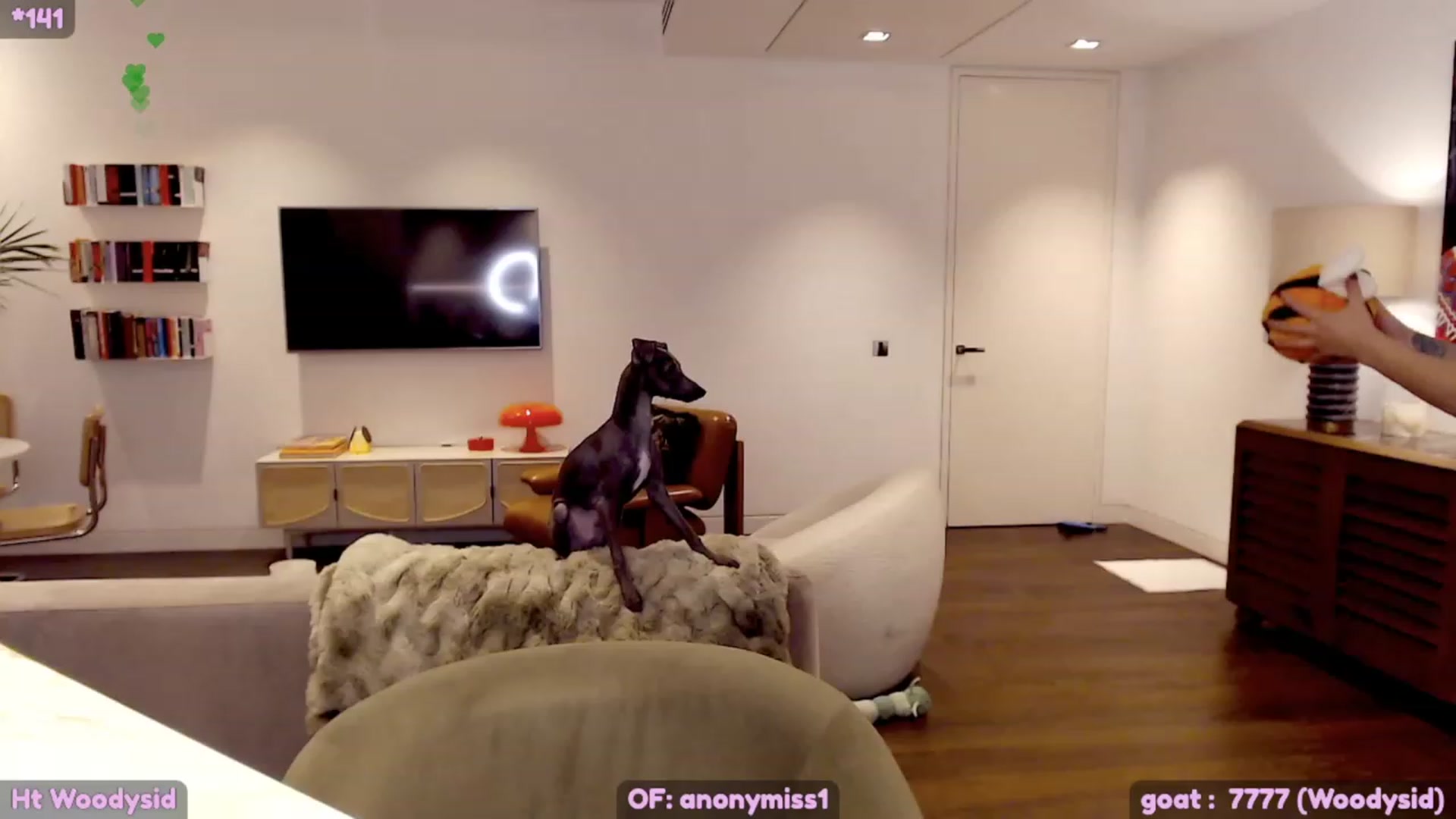 Gallery image thumbnail from Maze__'s myfreecams stream on, 12/13/2023, 24:01 image 9 of 20