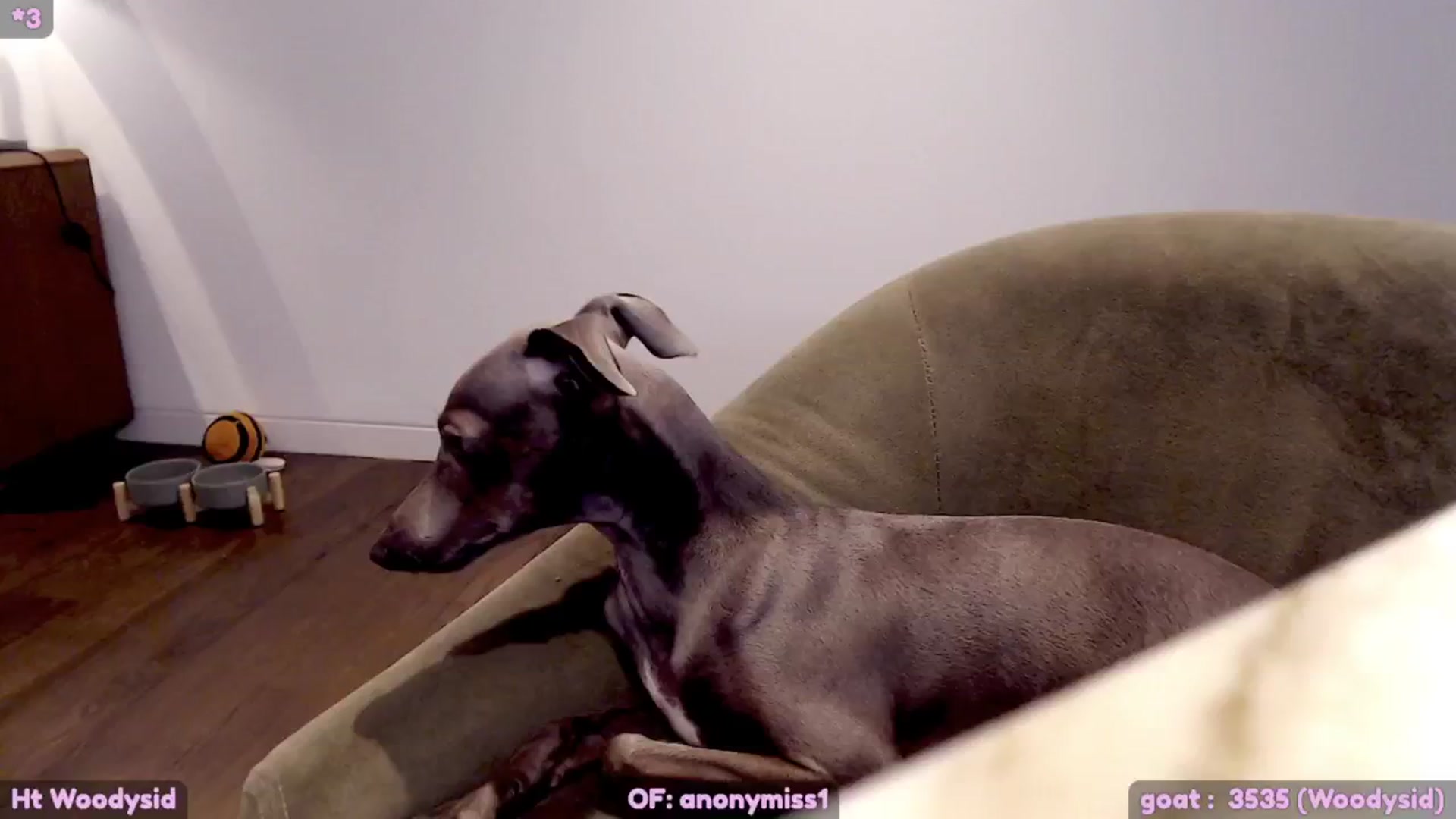 Gallery image thumbnail from Maze__'s myfreecams stream on, 02/07/2024, 01:12 image 20 of 20