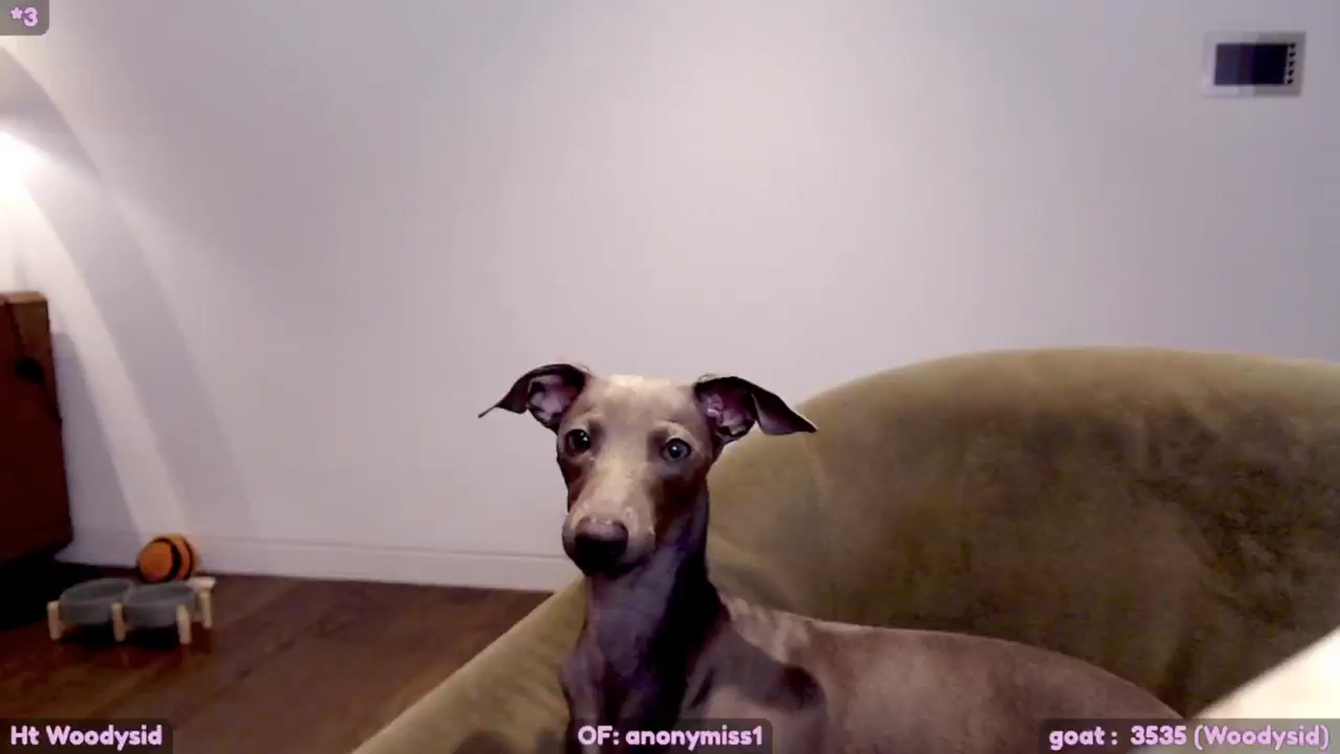 Gallery image thumbnail from Maze__'s myfreecams stream on, 02/07/2024, 01:12 image 19 of 20