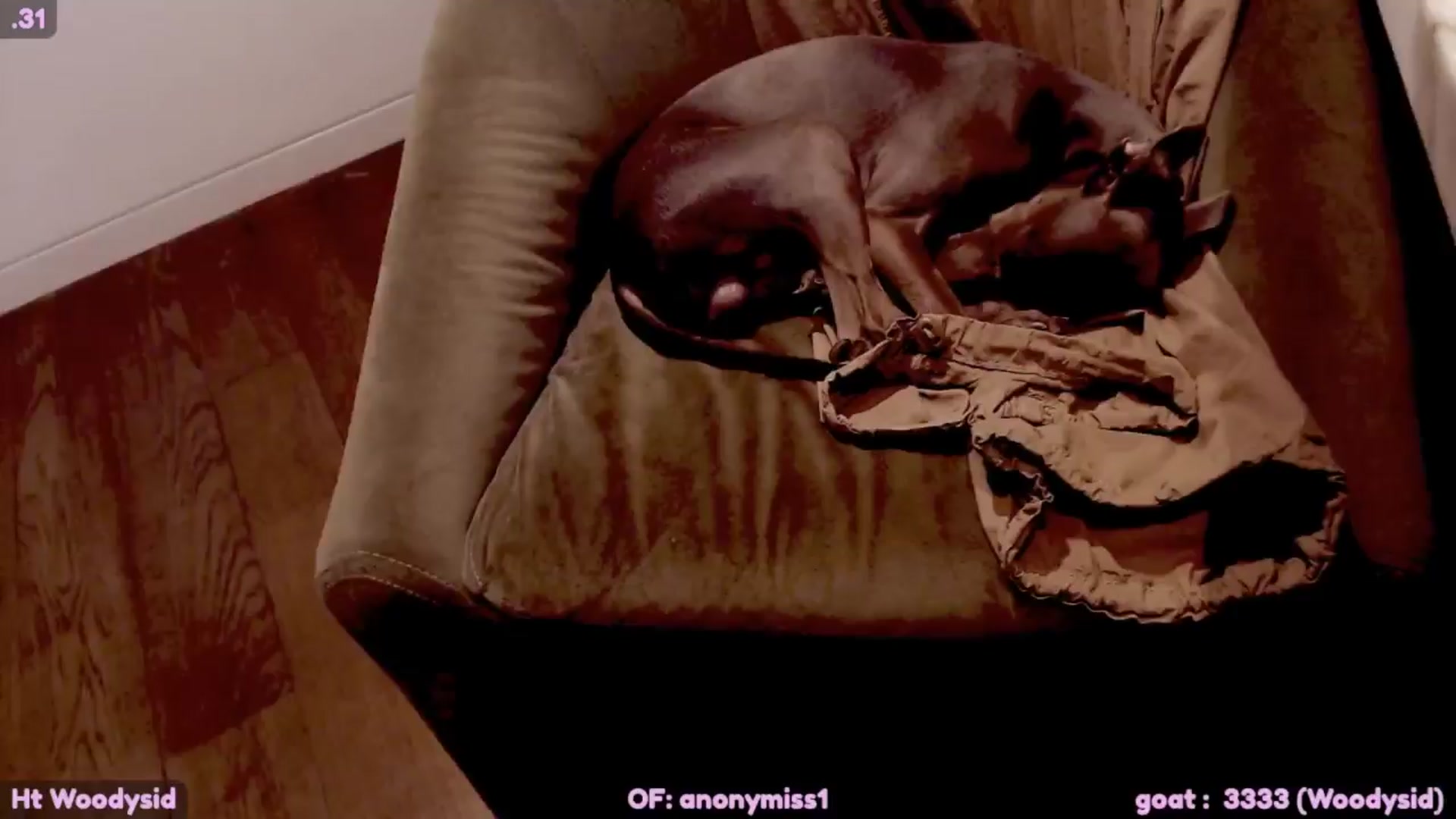 Gallery image thumbnail from Maze__'s myfreecams stream on, 04/13/2024, 23:33 image 13 of 20
