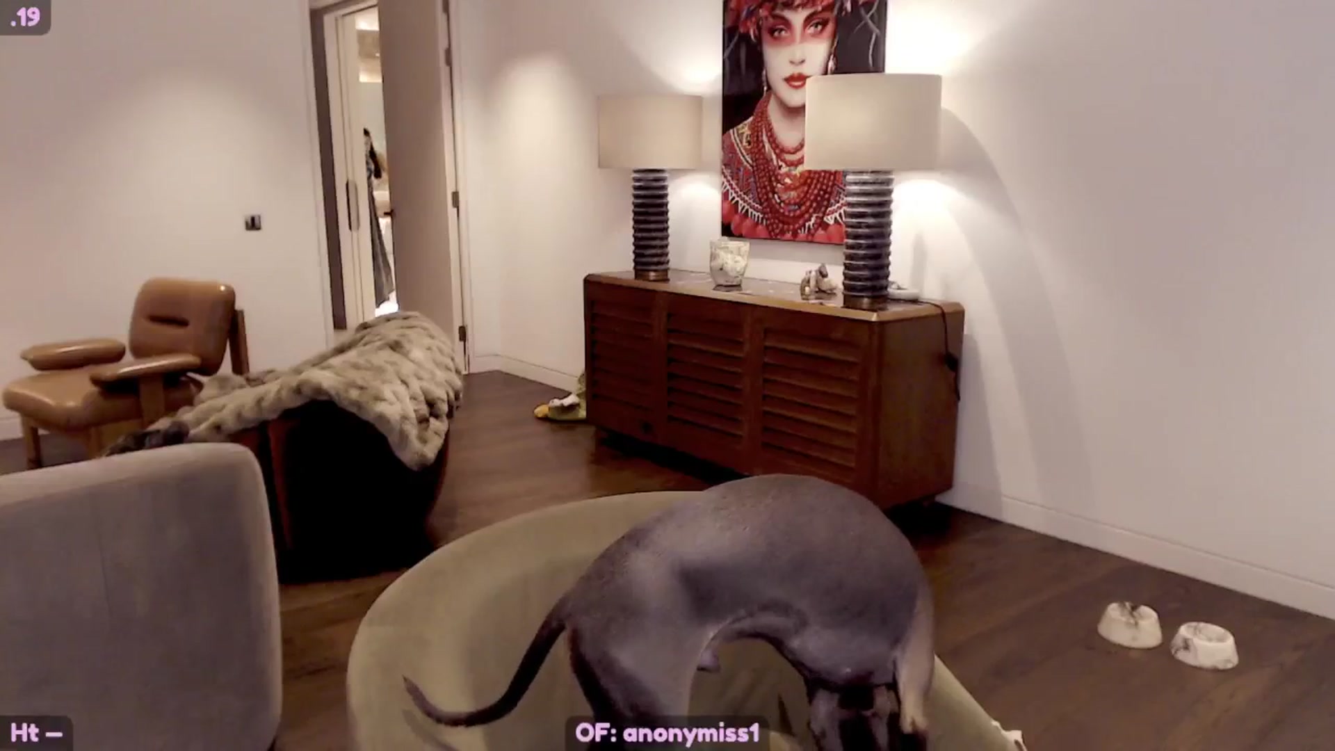 Gallery image thumbnail from Maze__'s myfreecams stream on, 04/26/2024, 21:34 image 7 of 20
