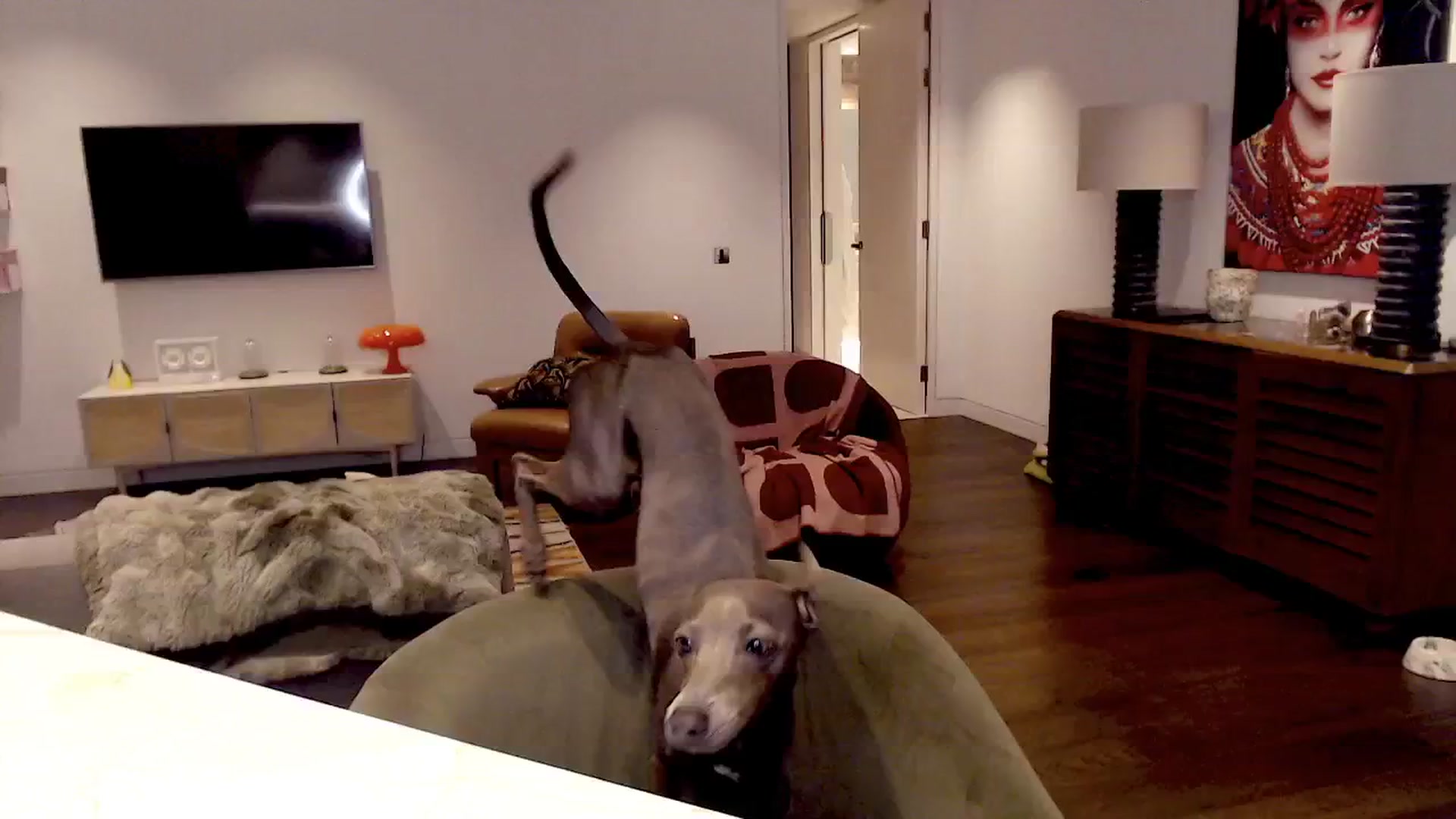 Gallery image thumbnail from Maze__'s myfreecams stream on, 07/27/2024, 21:55 image 17 of 20