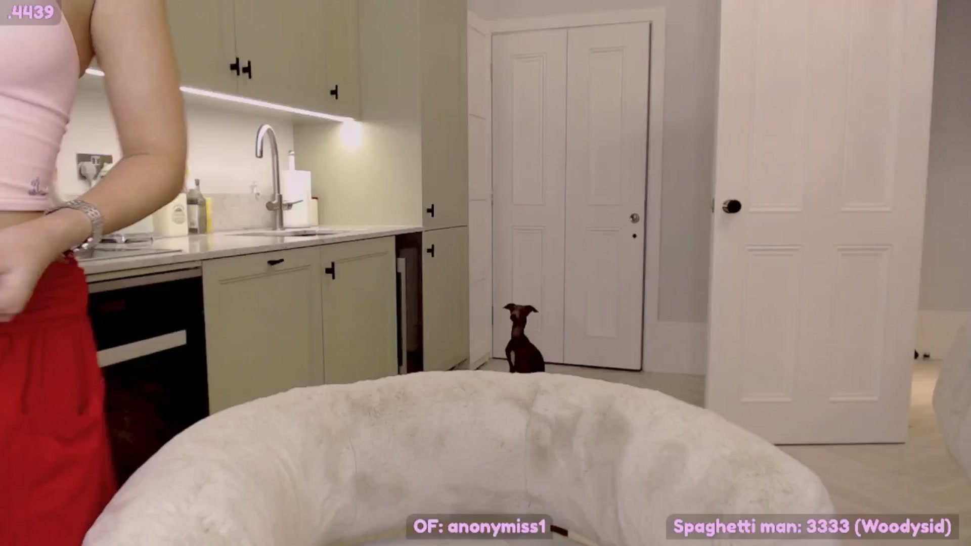 Gallery image thumbnail from Maze__'s myfreecams stream on, 10/12/2024, 19:36 image 13 of 20