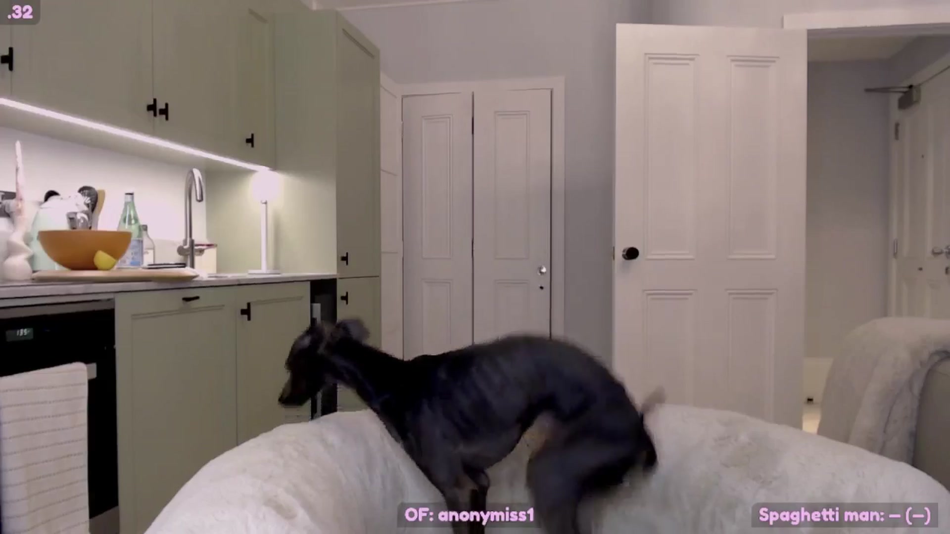 Gallery image thumbnail from Maze__'s myfreecams stream on, 11/02/2024, 20:21 image 15 of 20