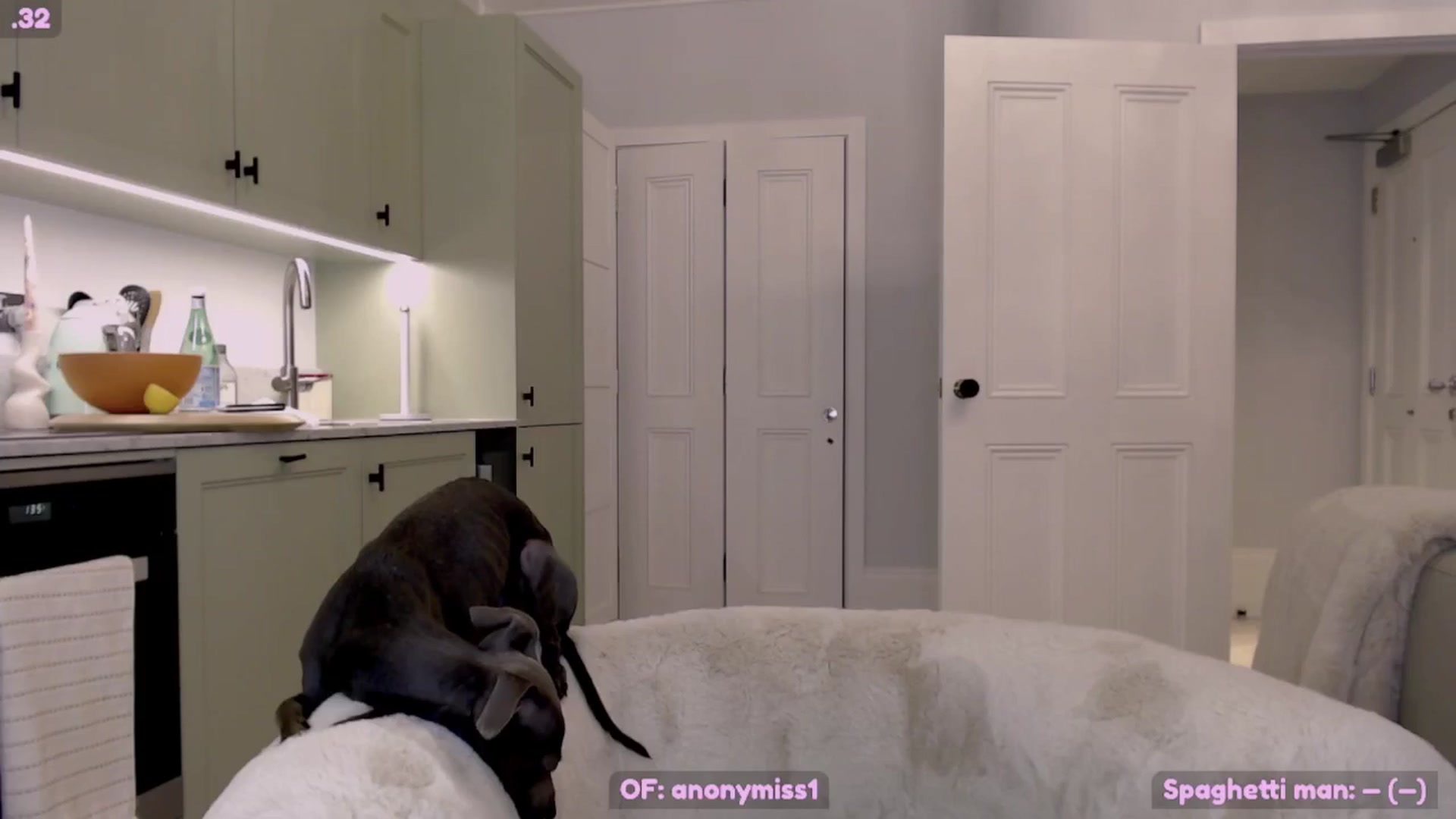 Gallery image thumbnail from Maze__'s myfreecams stream on, 11/02/2024, 20:21 image 9 of 20