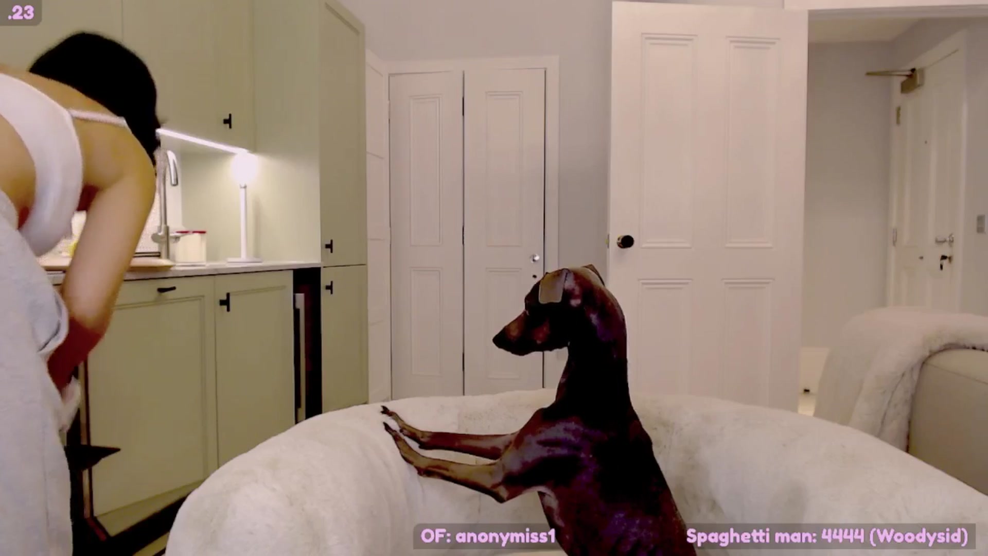 Gallery image thumbnail from Maze__'s myfreecams stream on, 11/02/2024, 21:55 image 15 of 20