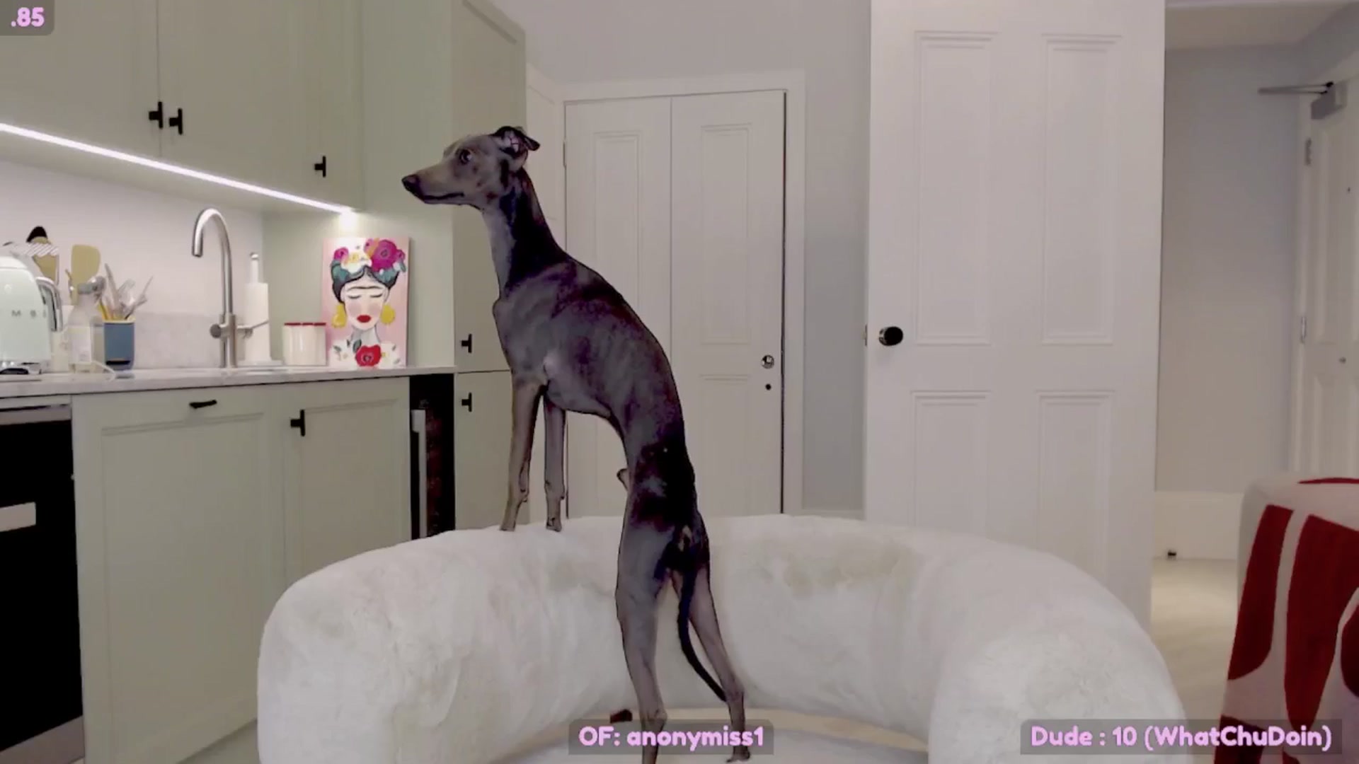 Gallery image thumbnail from Maze__'s myfreecams stream on, 11/09/2024, 22:00 image 6 of 20