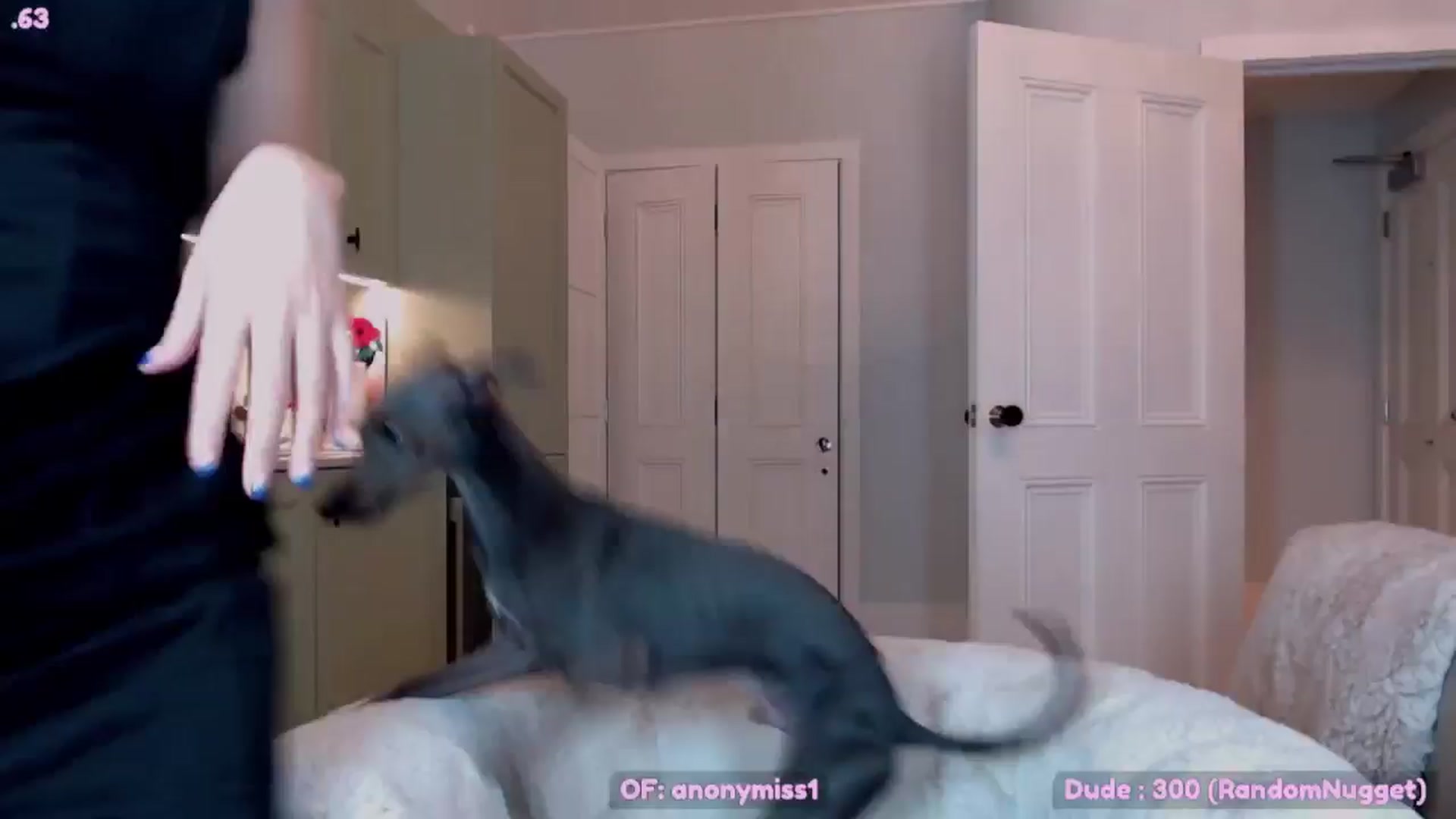 Gallery image thumbnail from Maze__'s myfreecams stream on, 11/23/2024, 24:02 image 11 of 20