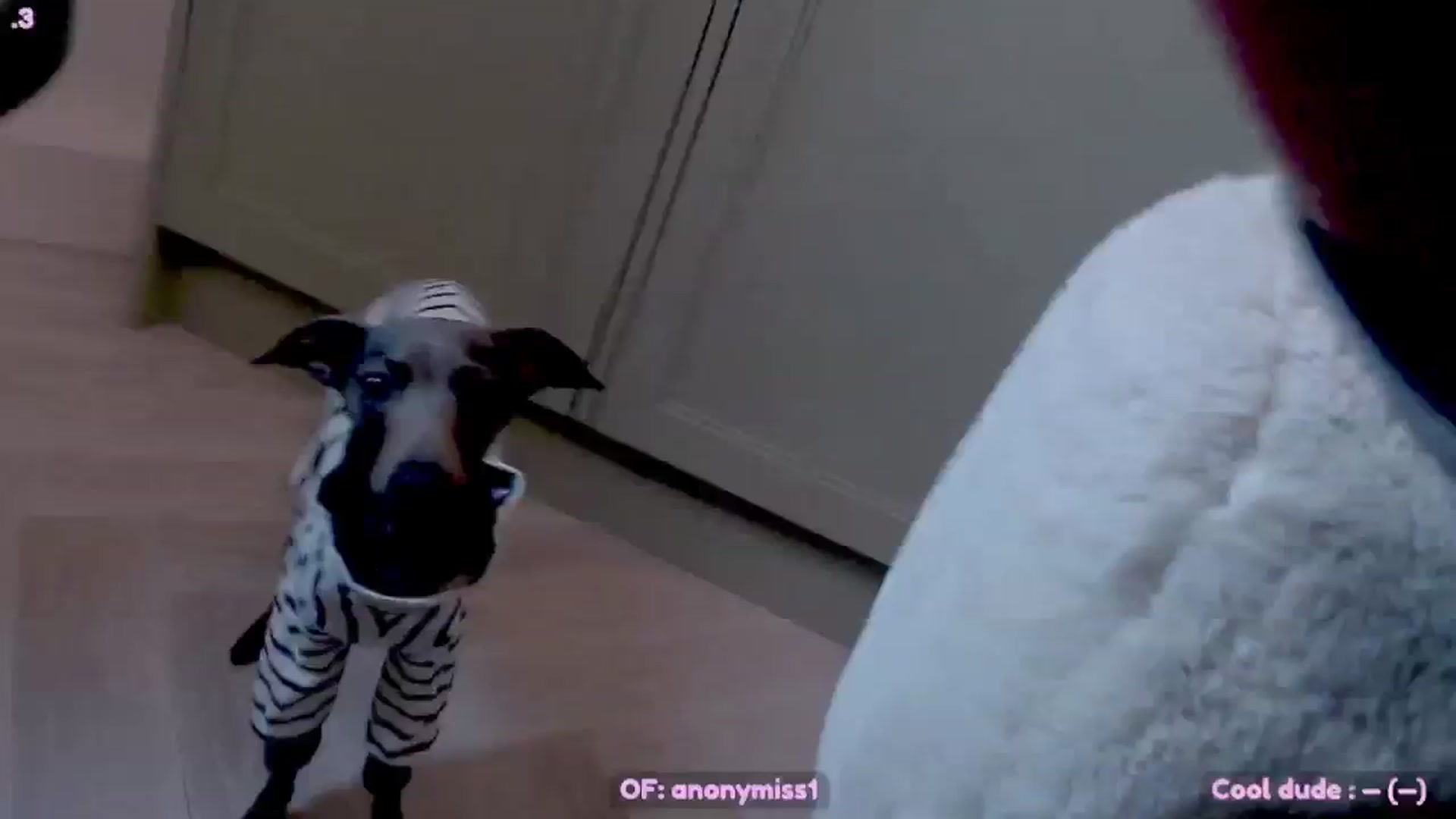 Gallery image thumbnail from Maze__'s myfreecams stream on, 02/02/2025, 21:23 image 5 of 20