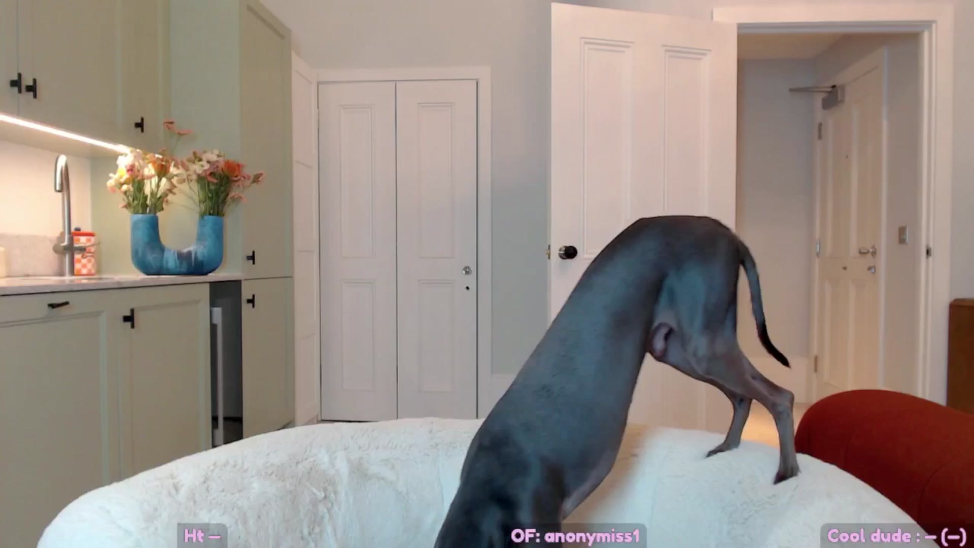 Gallery image thumbnail from Maze__'s myfreecams stream on, 04/03/2025, 23:44 image 15 of 20