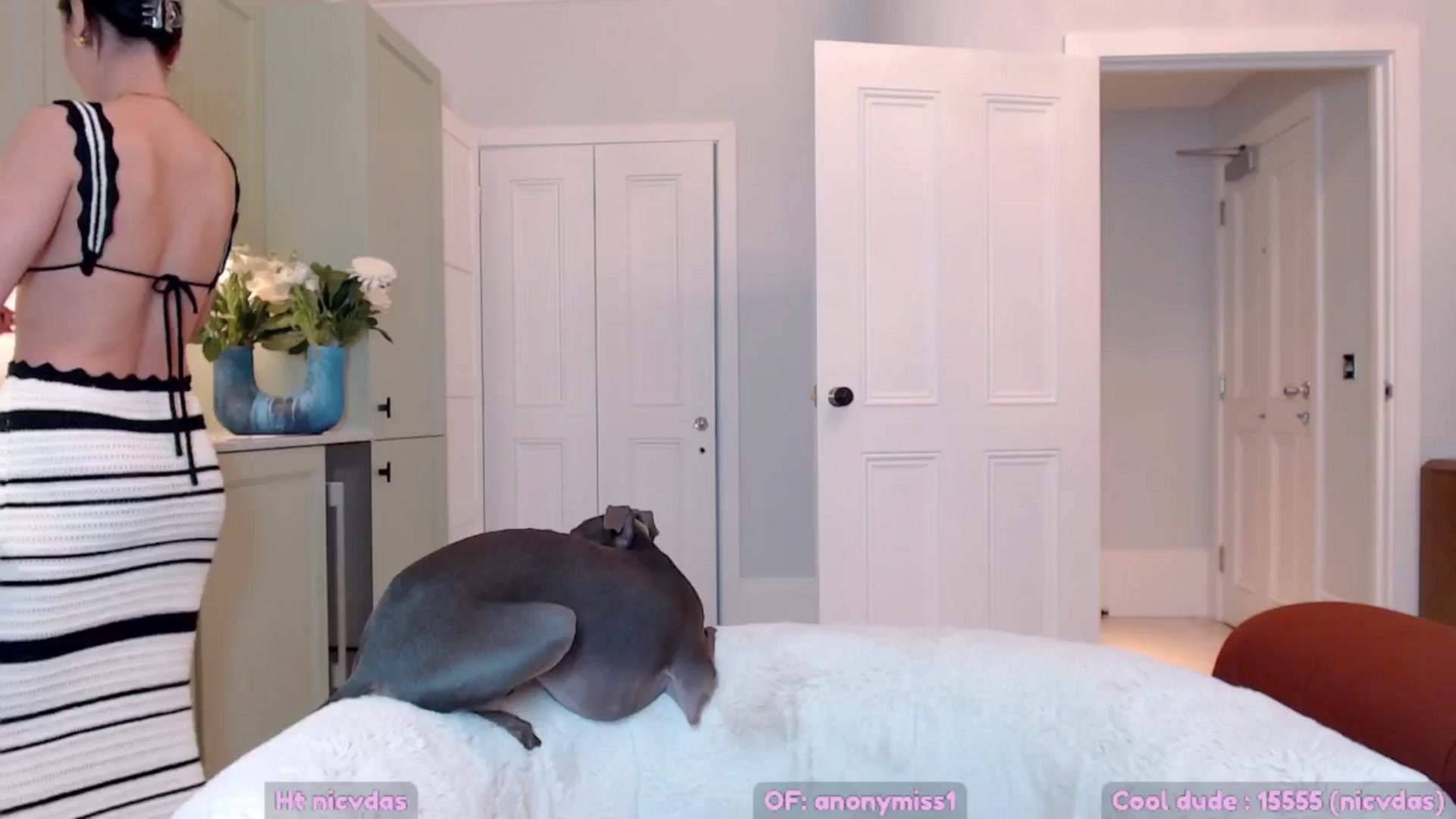 Gallery image thumbnail from Maze__'s myfreecams stream on, 04/06/2025, 20:57 image 5 of 20