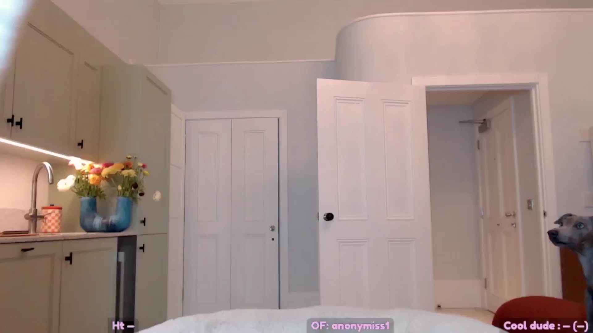 Gallery image thumbnail from Maze__'s myfreecams stream on, 04/16/2025, 23:41 image 4 of 20