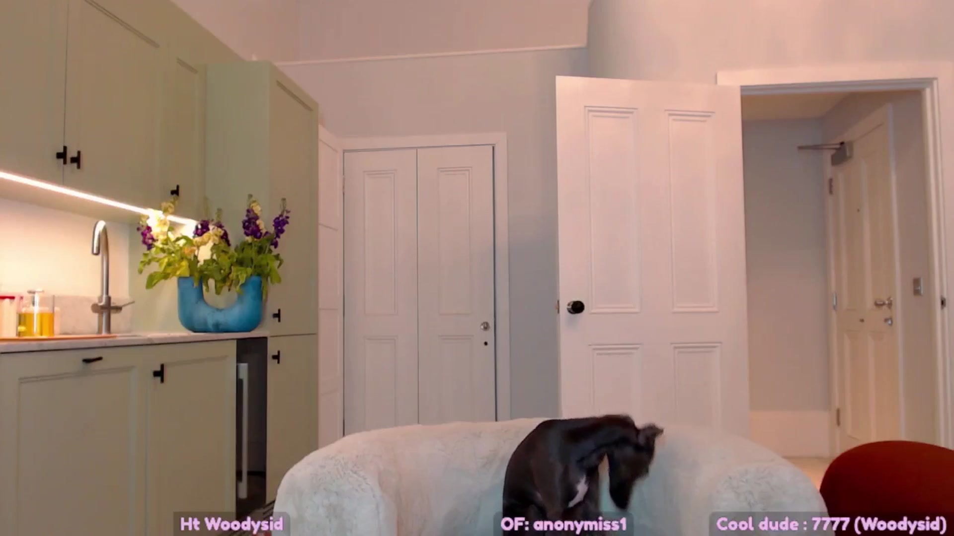 Gallery image thumbnail from Maze__'s myfreecams stream on, 04/29/2025, 21:58 image 14 of 20