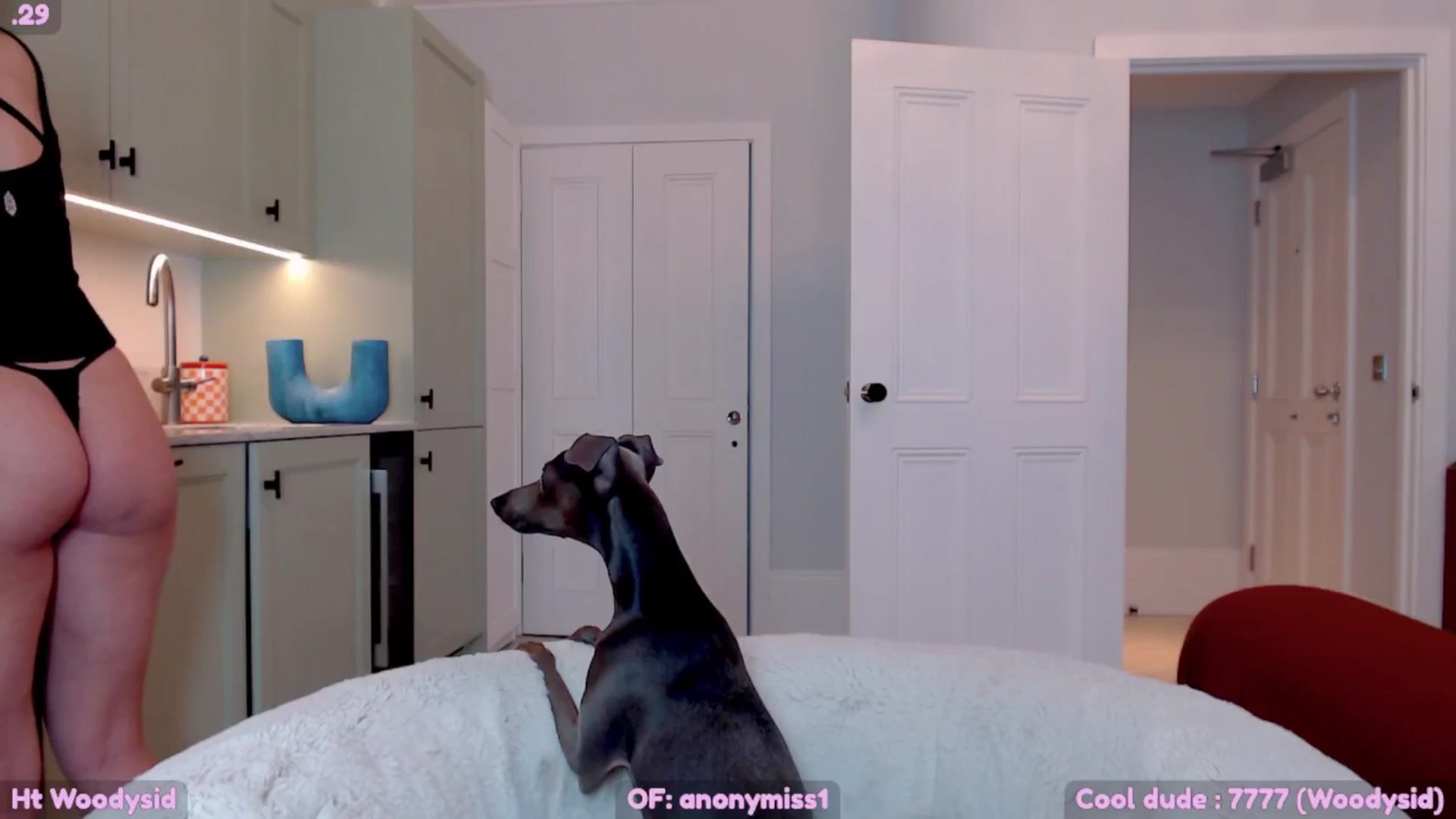 Gallery image thumbnail from Maze__'s myfreecams stream on, 06/14/2025, 21:12 image 5 of 20