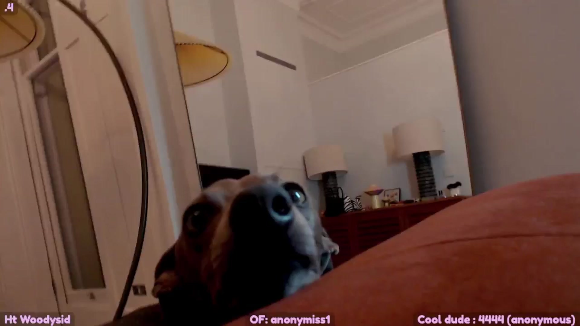 Gallery image thumbnail from Maze__'s myfreecams stream on, 06/30/2025, 24:45 image 16 of 20