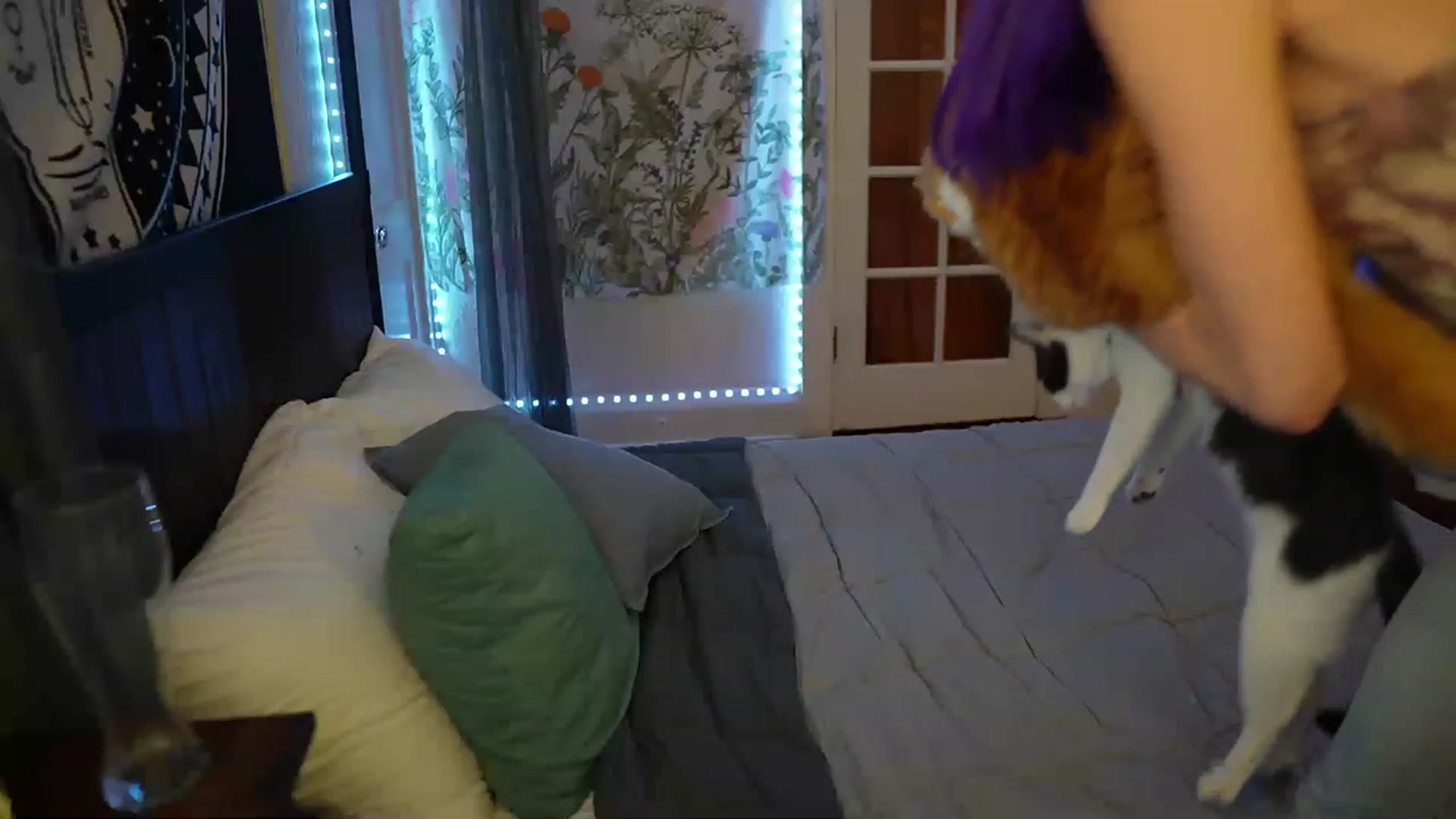 Gallery image thumbnail from Mc_Gia's myfreecams stream on, 02/07/2023, 04:32 image 3 of 20
