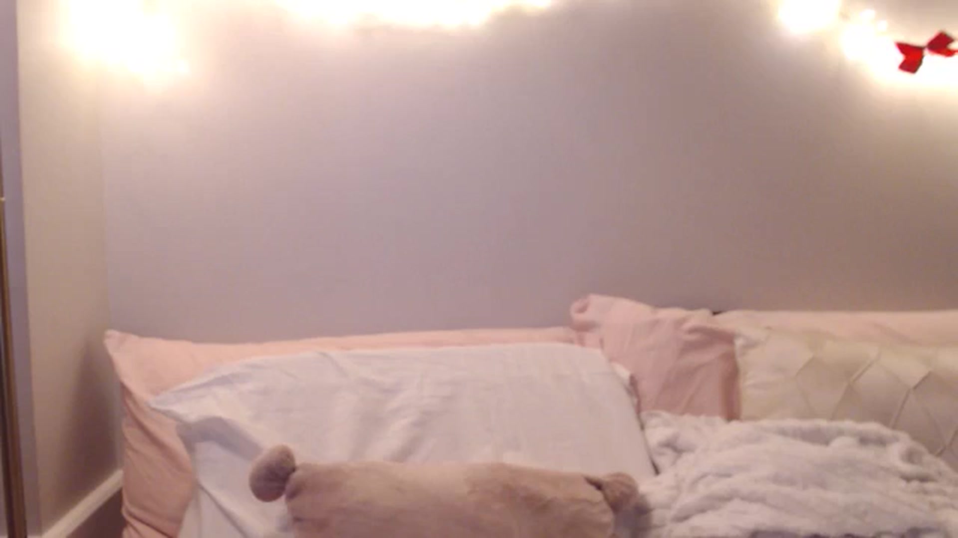 Gallery image thumbnail from MeLONsTherapy's myfreecams stream on, 12/16/2025, 18:52 image 14 of 20