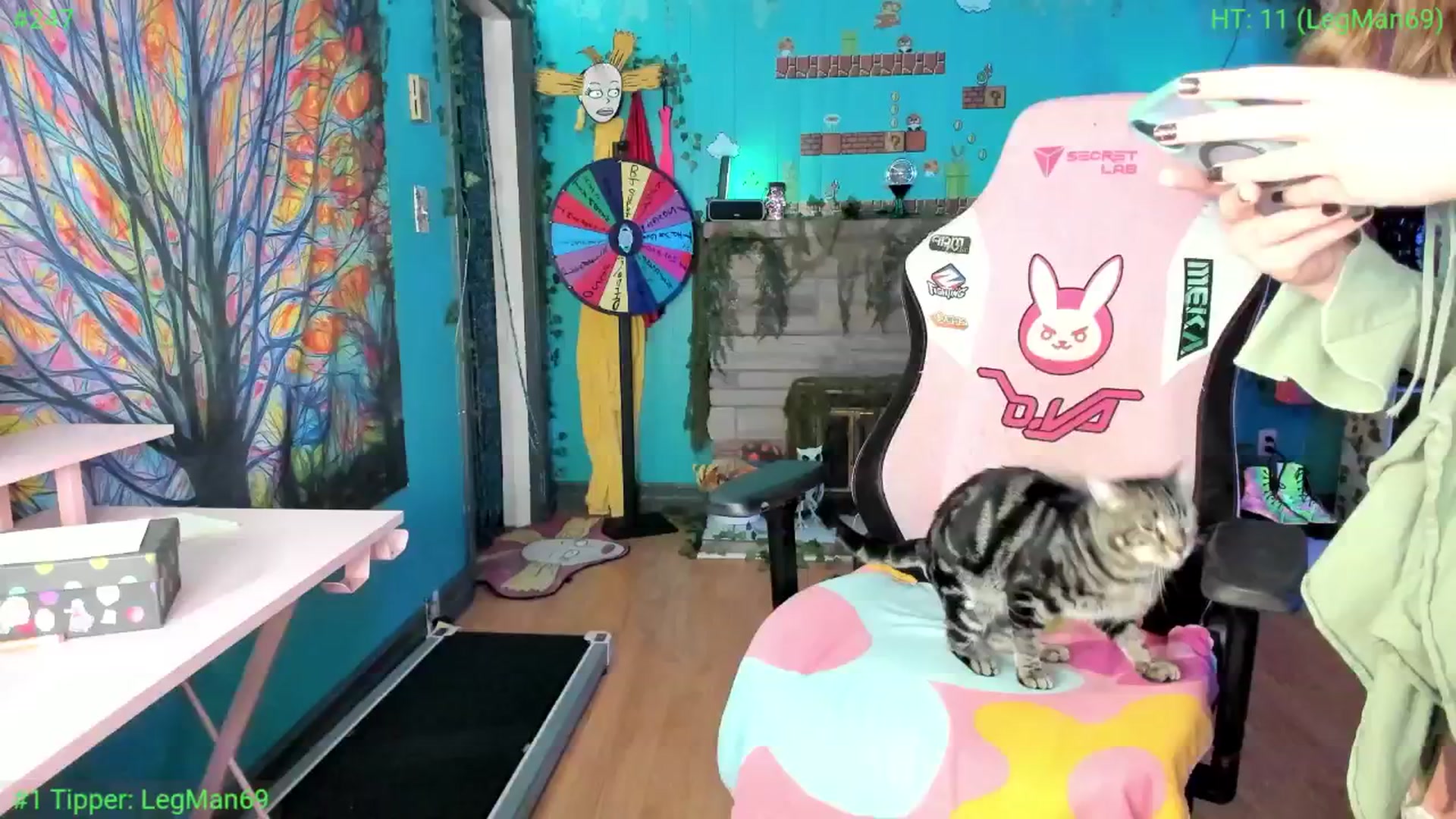 Gallery image thumbnail from MediogreMaya's myfreecams stream on, 10/01/2025, 07:35 image 8 of 20