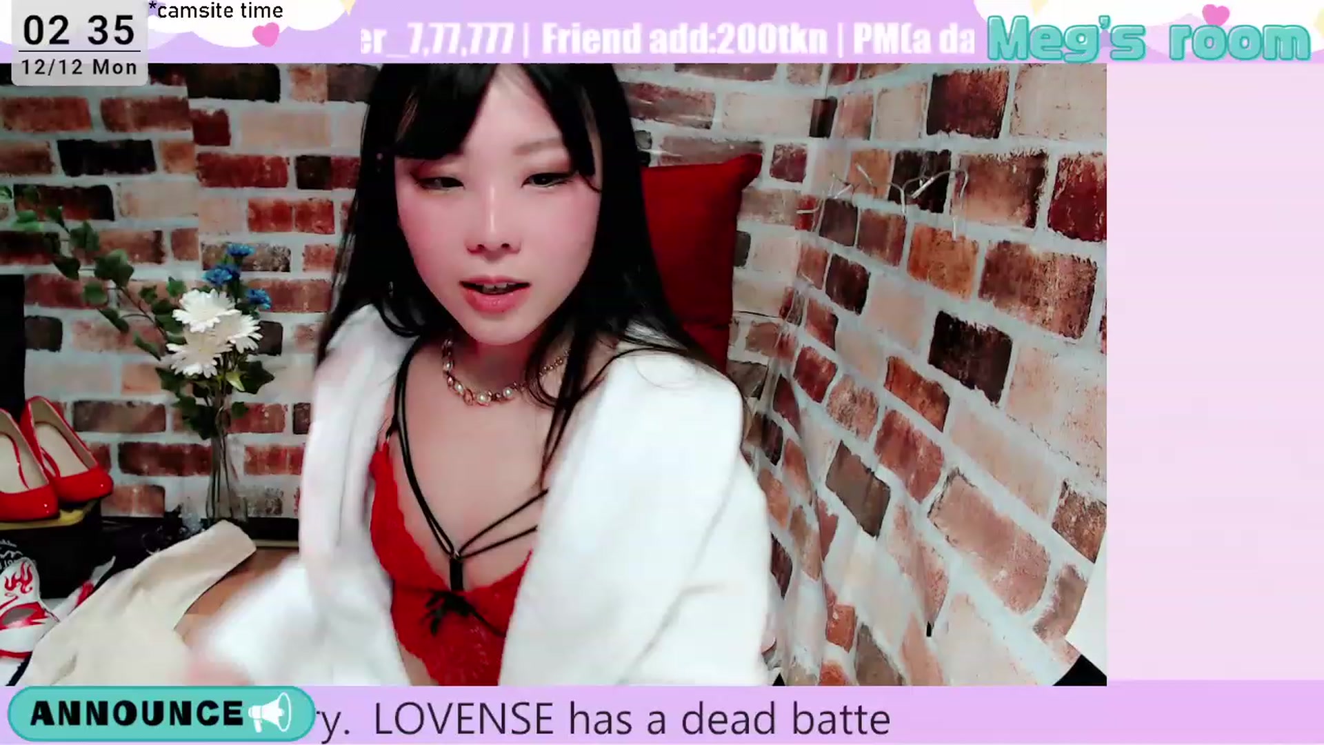 Gallery image thumbnail from Meg_s2's myfreecams stream on, 12/12/2022, 10:48 image 13 of 20