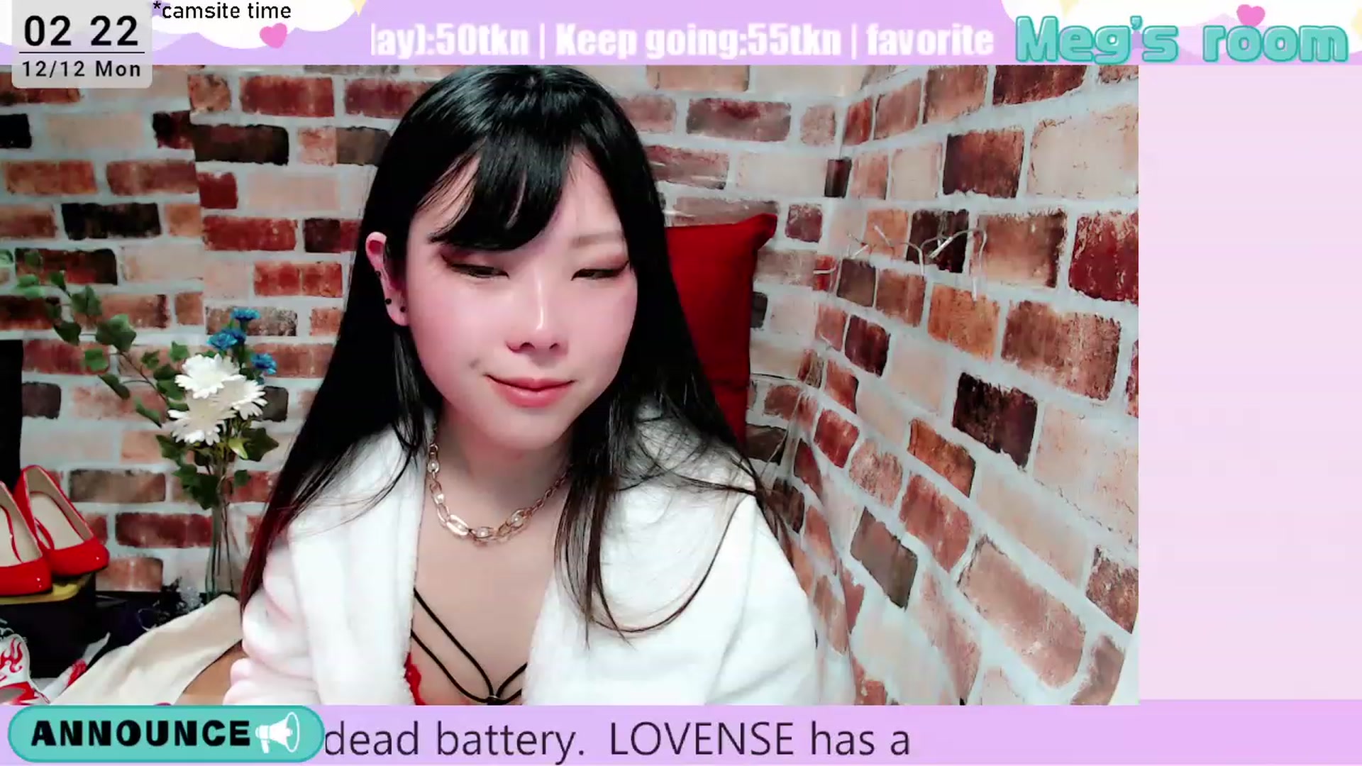Gallery image thumbnail from Meg_s2's myfreecams stream on, 12/12/2022, 10:48 image 4 of 20