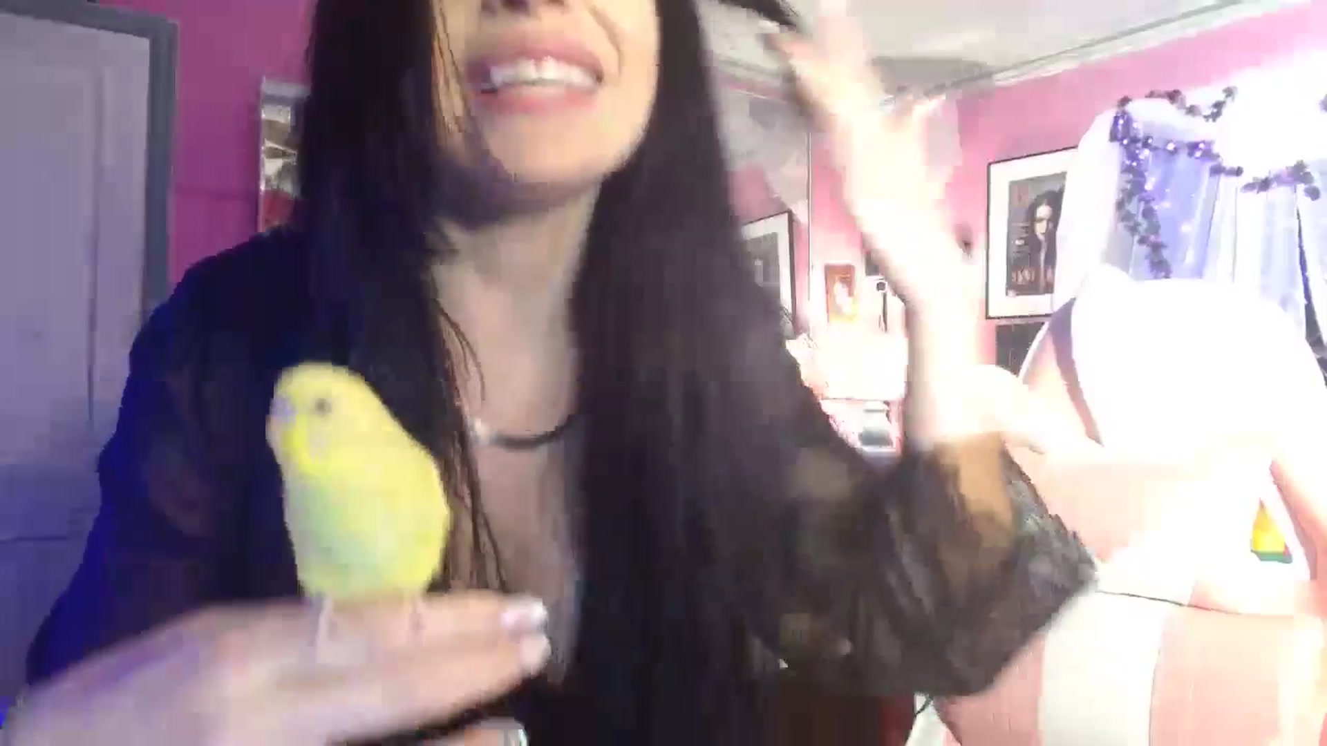Gallery image thumbnail from MeganFux_'s myfreecams stream on, 10/13/2024, 08:54 image 11 of 20