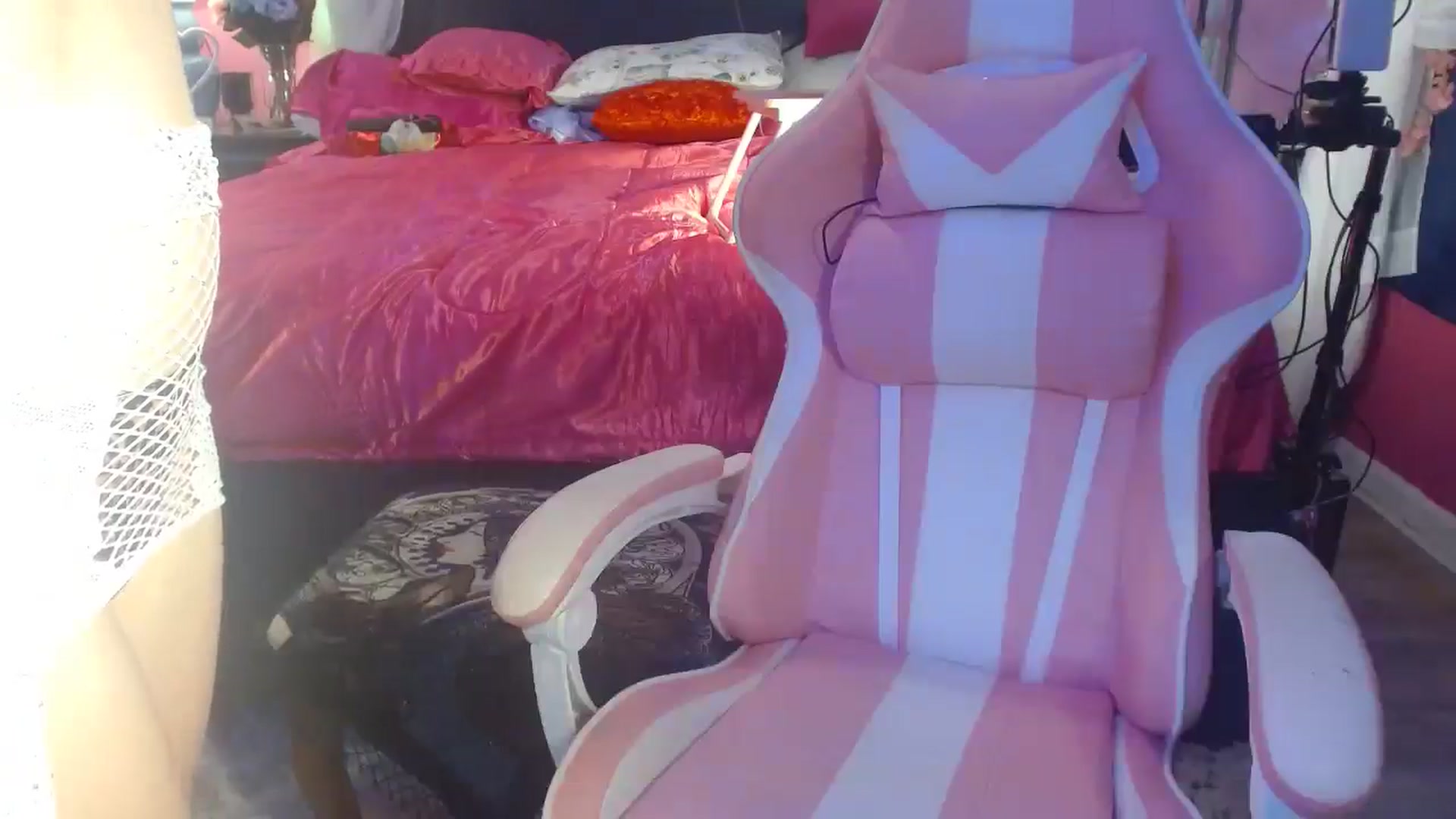Gallery image thumbnail from MeganFux_'s myfreecams stream on, 11/26/2024, 08:59 image 7 of 20