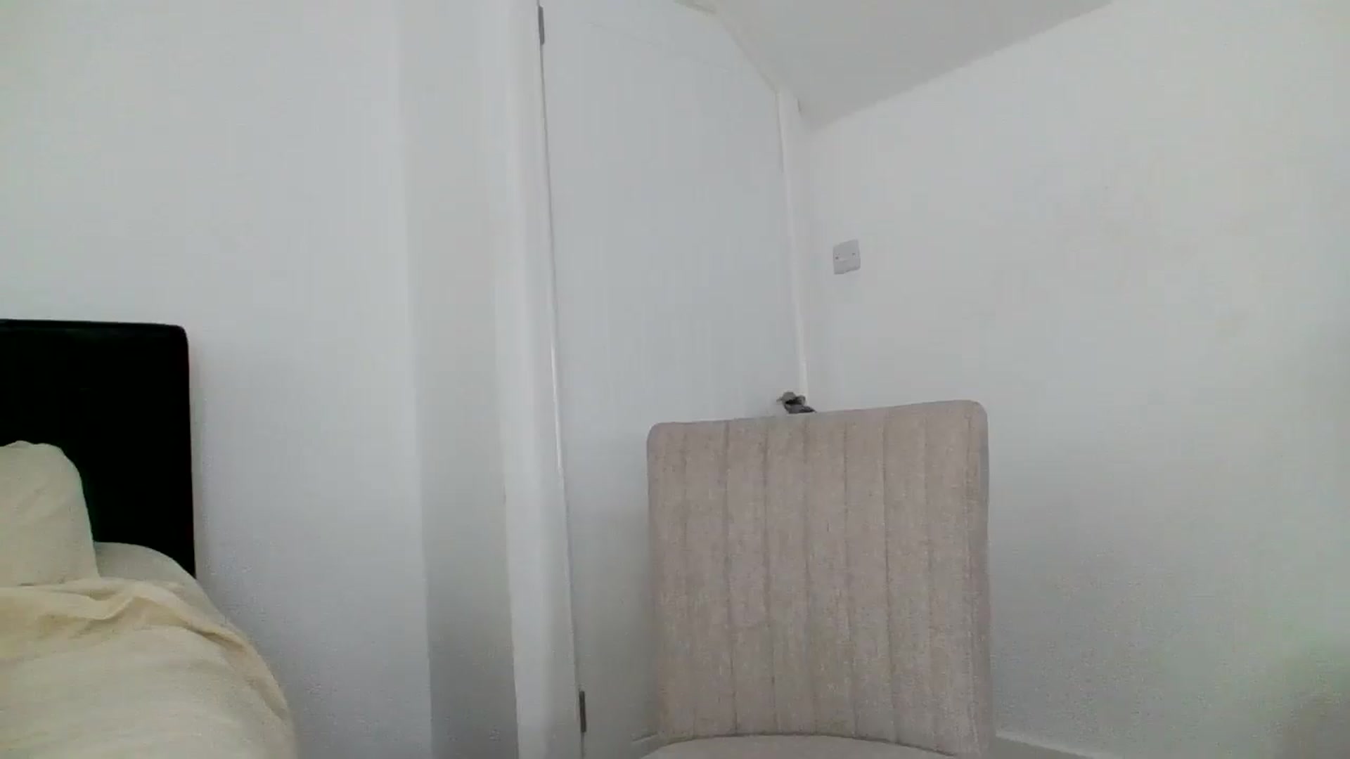 Gallery image thumbnail from MeganMiles's myfreecams stream on, 11/06/2025, 12:05 image 12 of 20