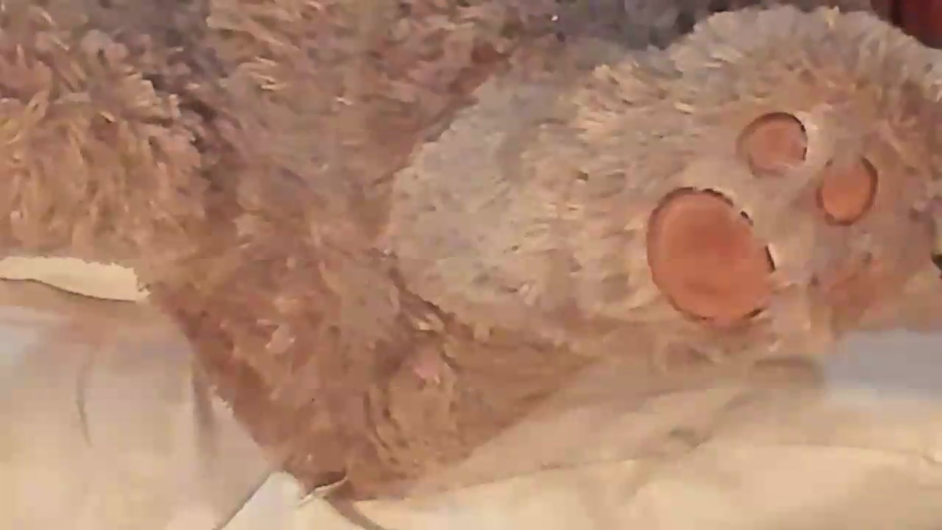 Gallery image thumbnail from Meganmoore_'s myfreecams stream on, 08/25/2026, 01:20 image 13 of 20