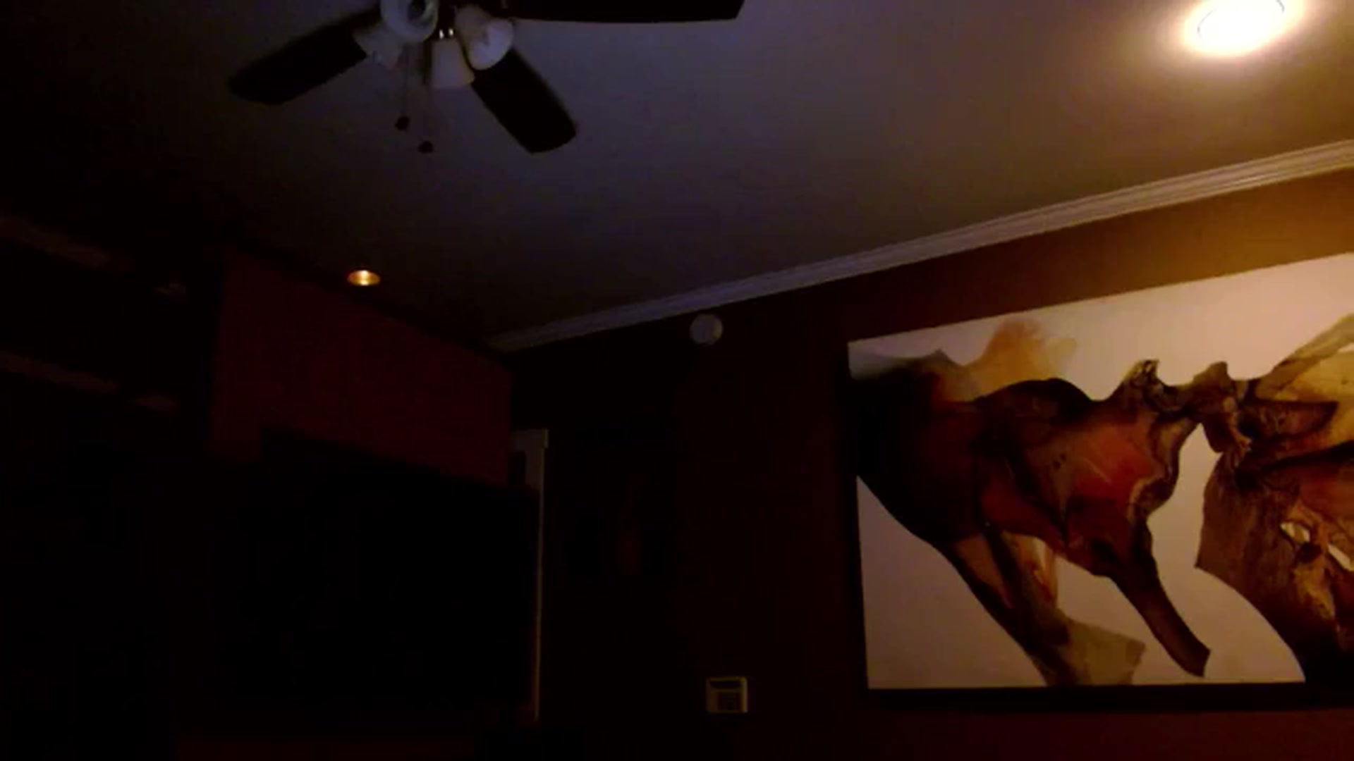 Gallery image thumbnail from Mel_inLove's myfreecams stream on, 08/12/2025, 03:41 image 20 of 20