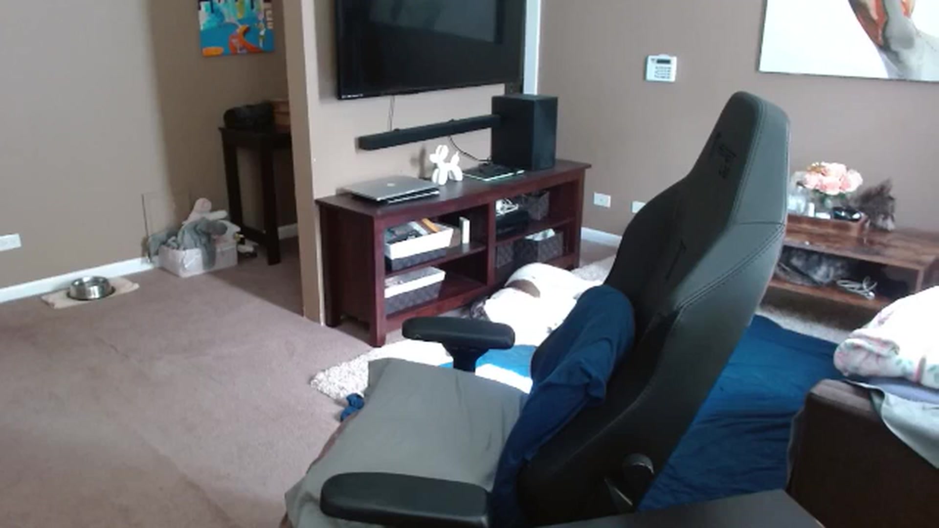 Gallery image thumbnail from Mel_inLove's myfreecams stream on, 10/16/2025, 17:39 image 19 of 20
