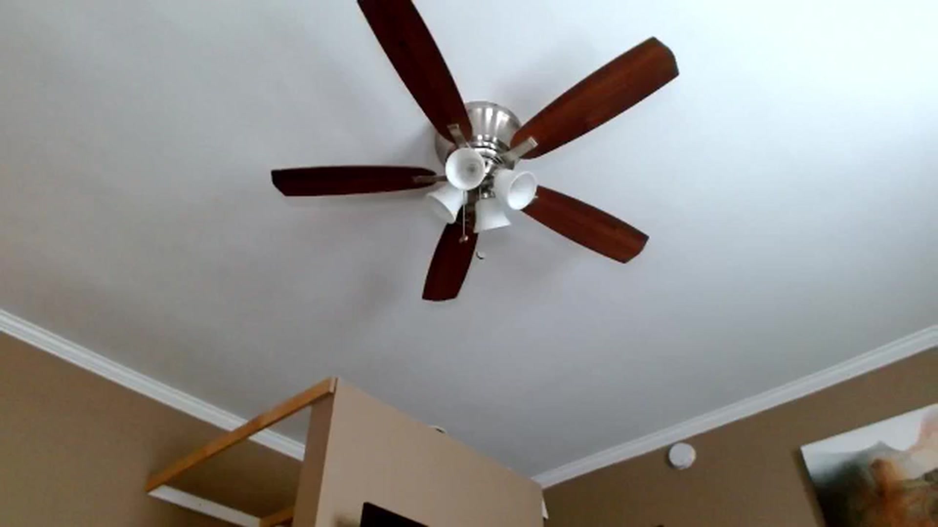 Gallery image thumbnail from Mel_inLove's myfreecams stream on, 04/26/2026, 24:01 image 7 of 20