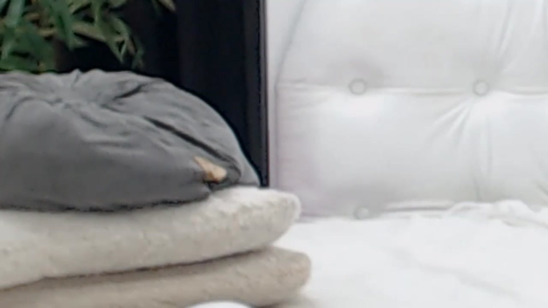 Gallery image thumbnail from MelanieLexxx's myfreecams stream on, 05/22/2023, 20:50 image 16 of 20