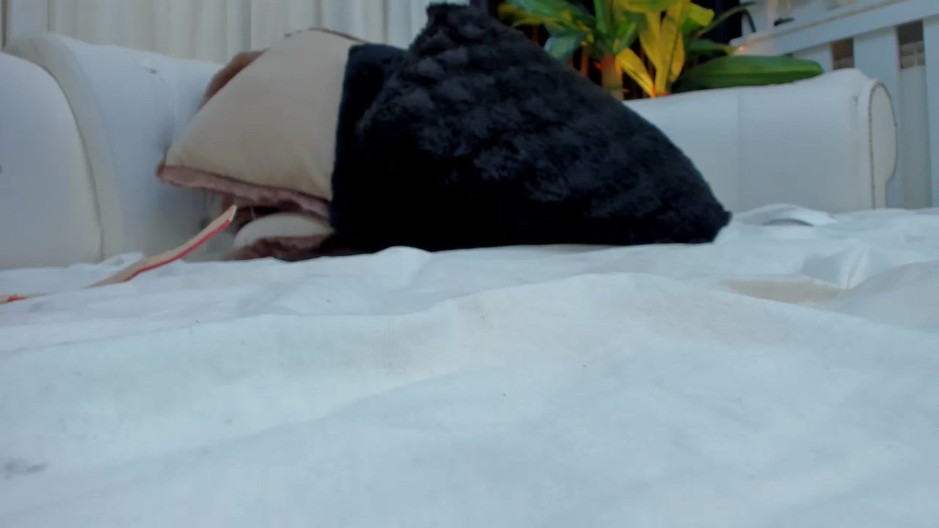 Gallery image thumbnail from MelanieLexxx's myfreecams stream on, 11/28/2023, 21:29 image 5 of 20
