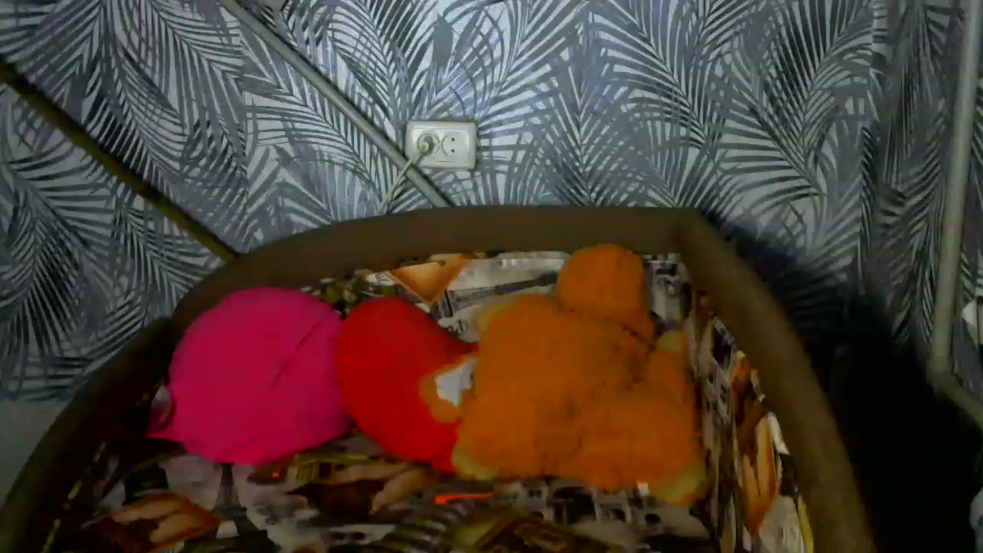 Gallery image thumbnail from Melinda_sweet's myfreecams stream on, 01/18/2023, 20:48 image 18 of 20